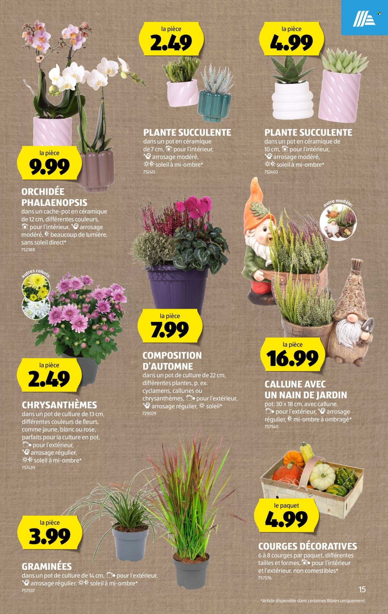 ALDI Prospekt - Vom 8.10.2026