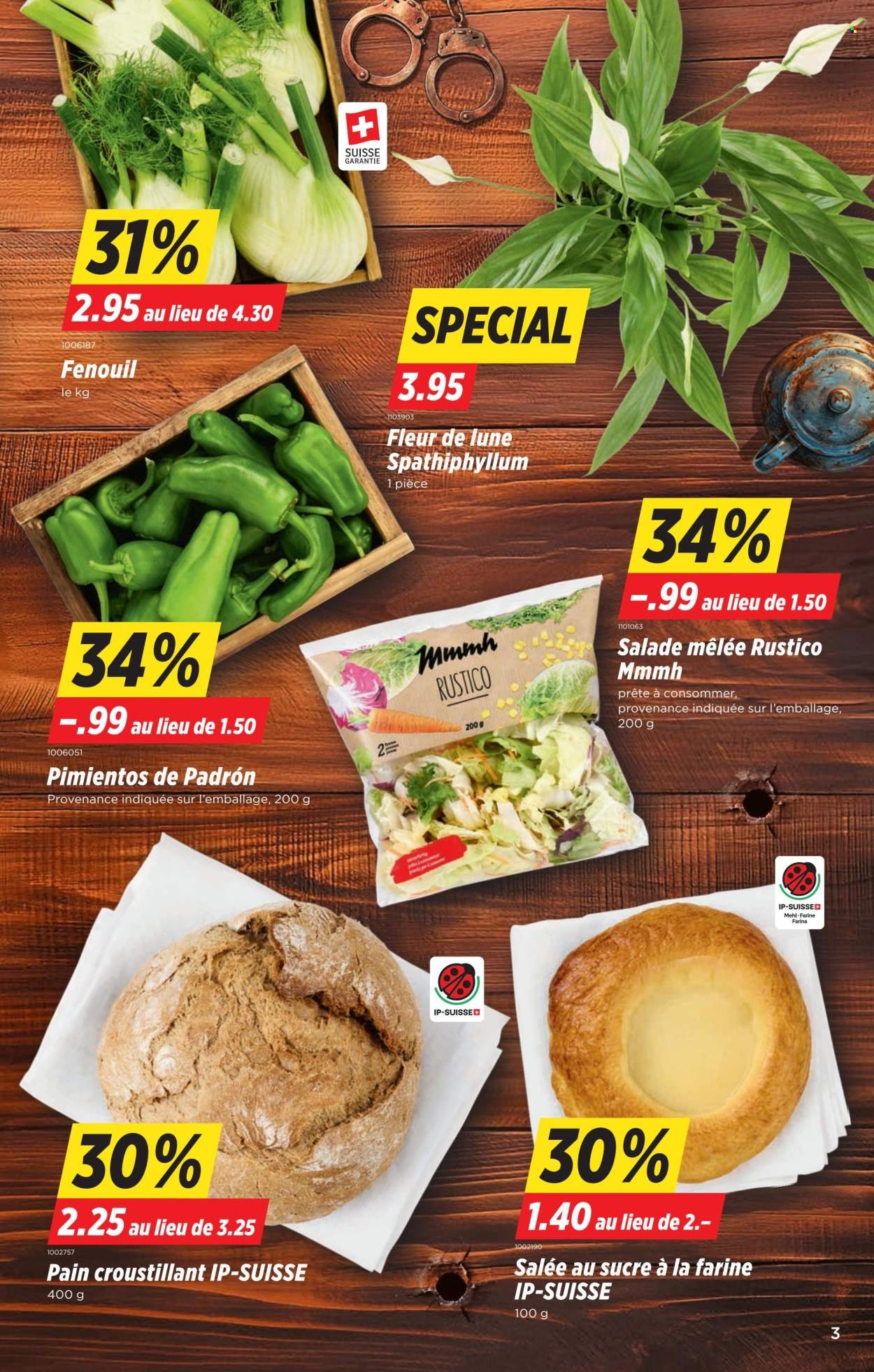DENNER Prospekt - S24