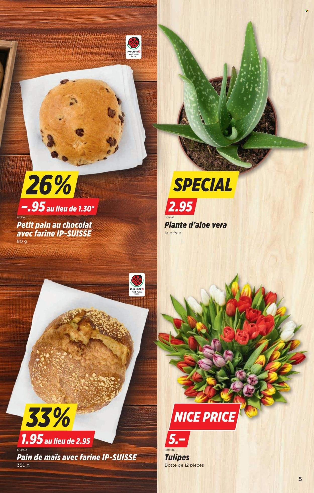 DENNER Prospekt - SETT08 (2026-02-19 - 2026-02-25)