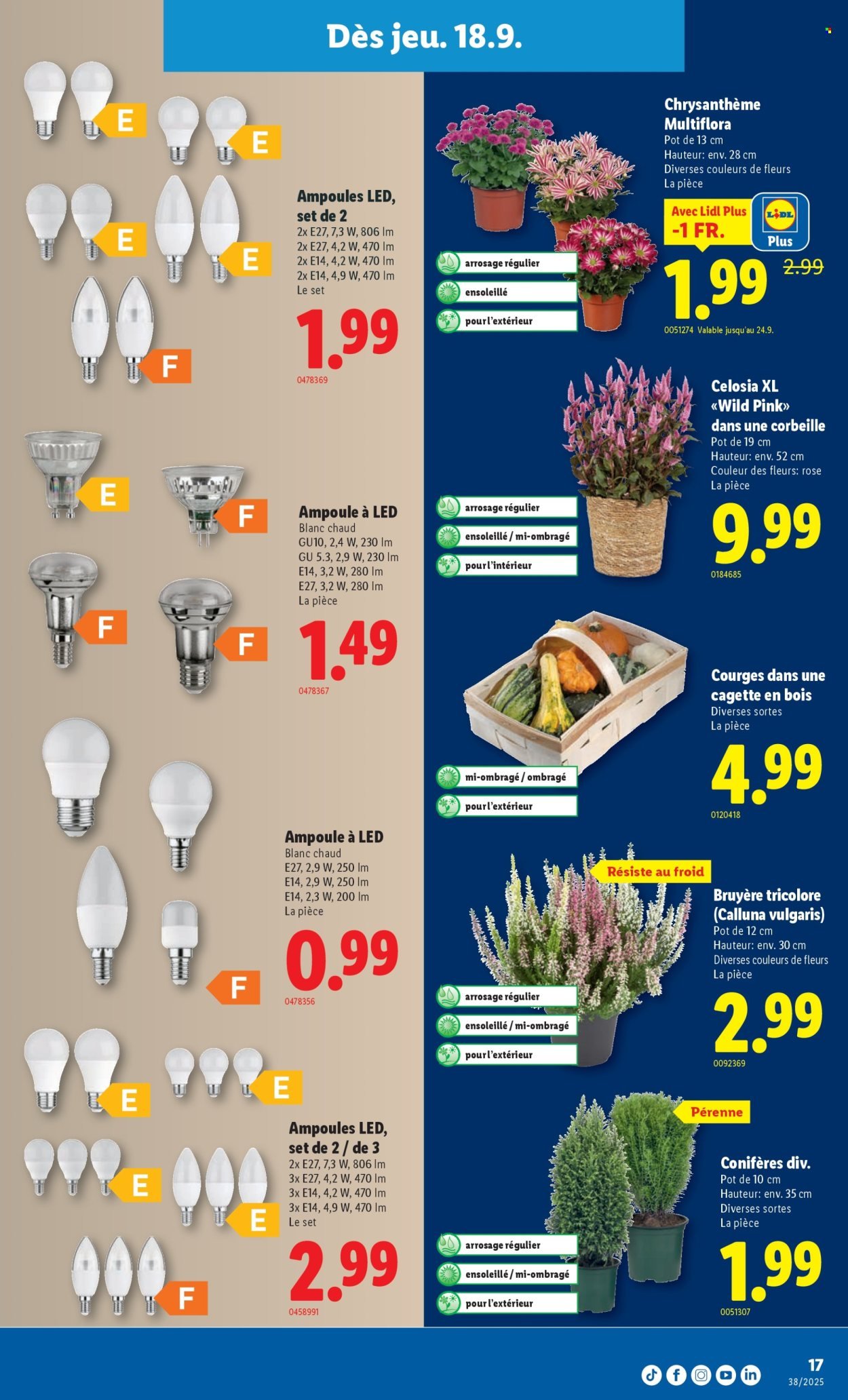 LIDL Prospekt - KW 38 (2025-09-18 - 2025-09-24)
