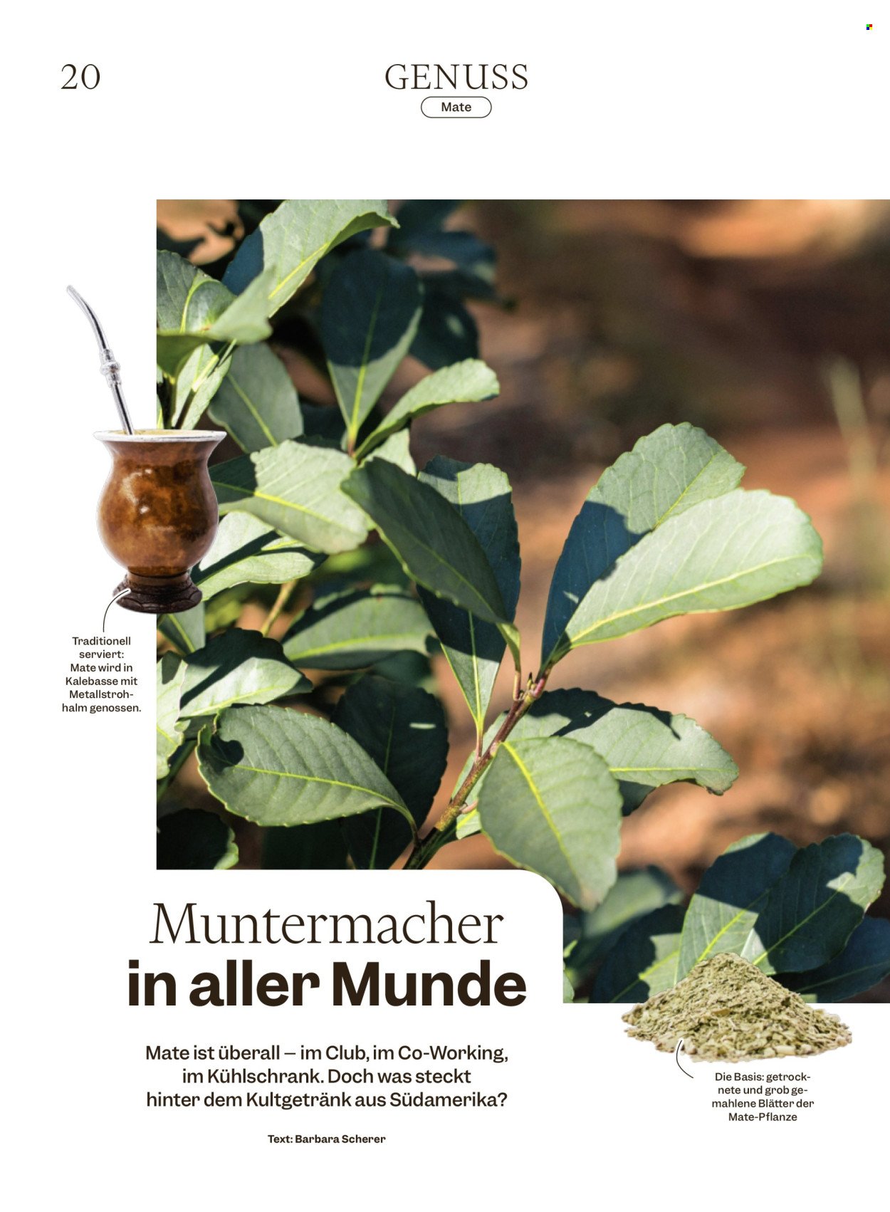 MIGROS Prospekt - Vom 15.7.2025 (2025-07-15 - 2025-07-21)