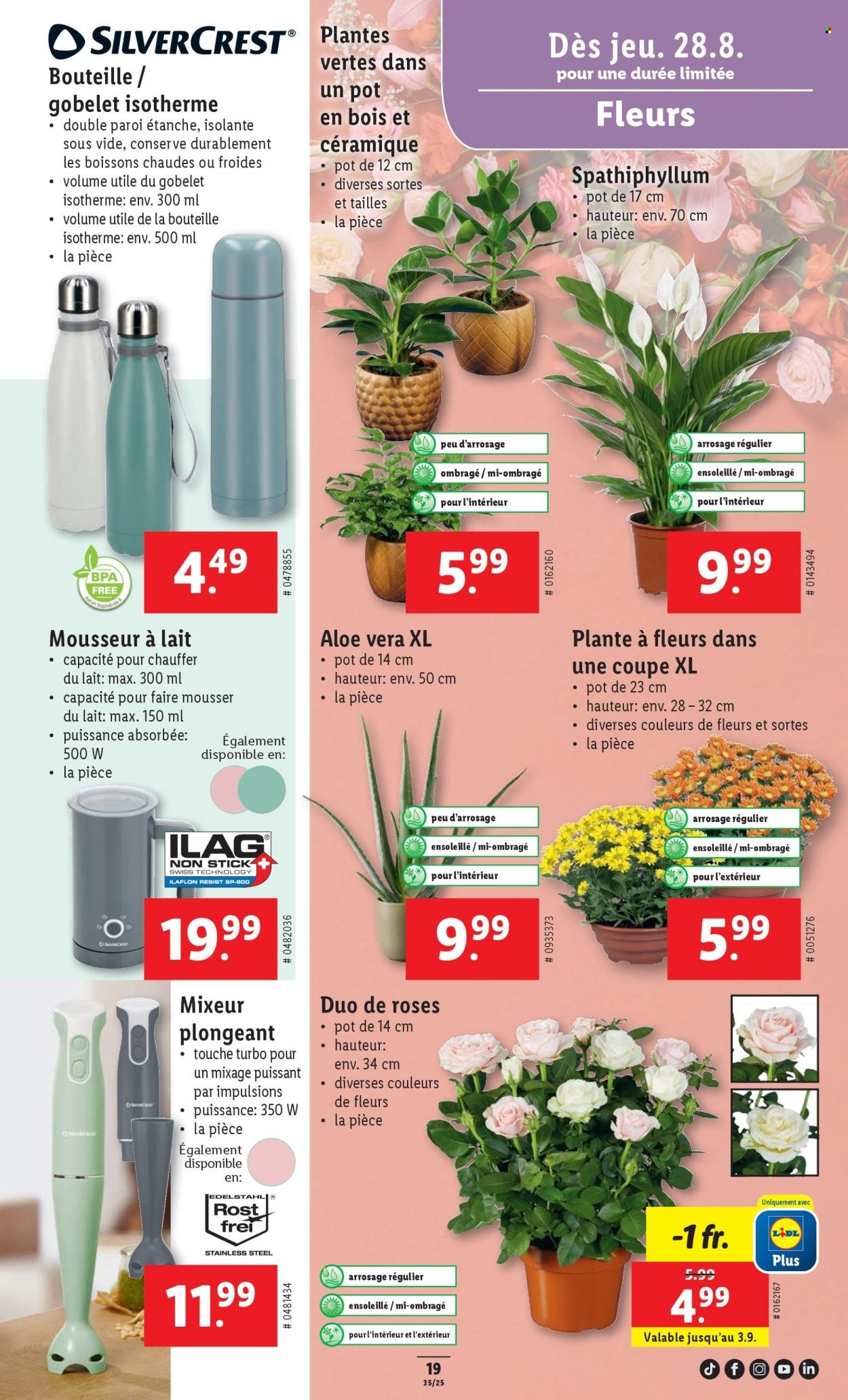 LIDL Prospekt - SEM 35 (2025-08-28 - 2025-09-03)