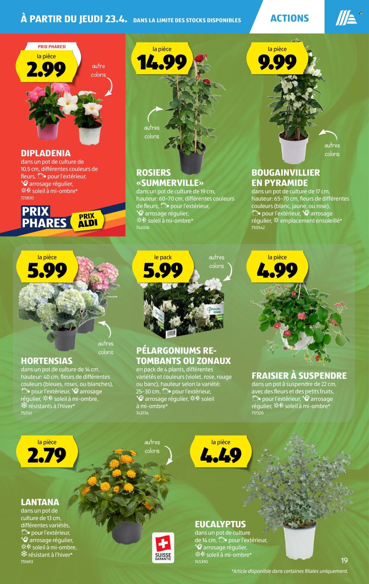 ALDI Prospekt - Vom 23.4.2026 (2026-04-23 - 2026-04-29)