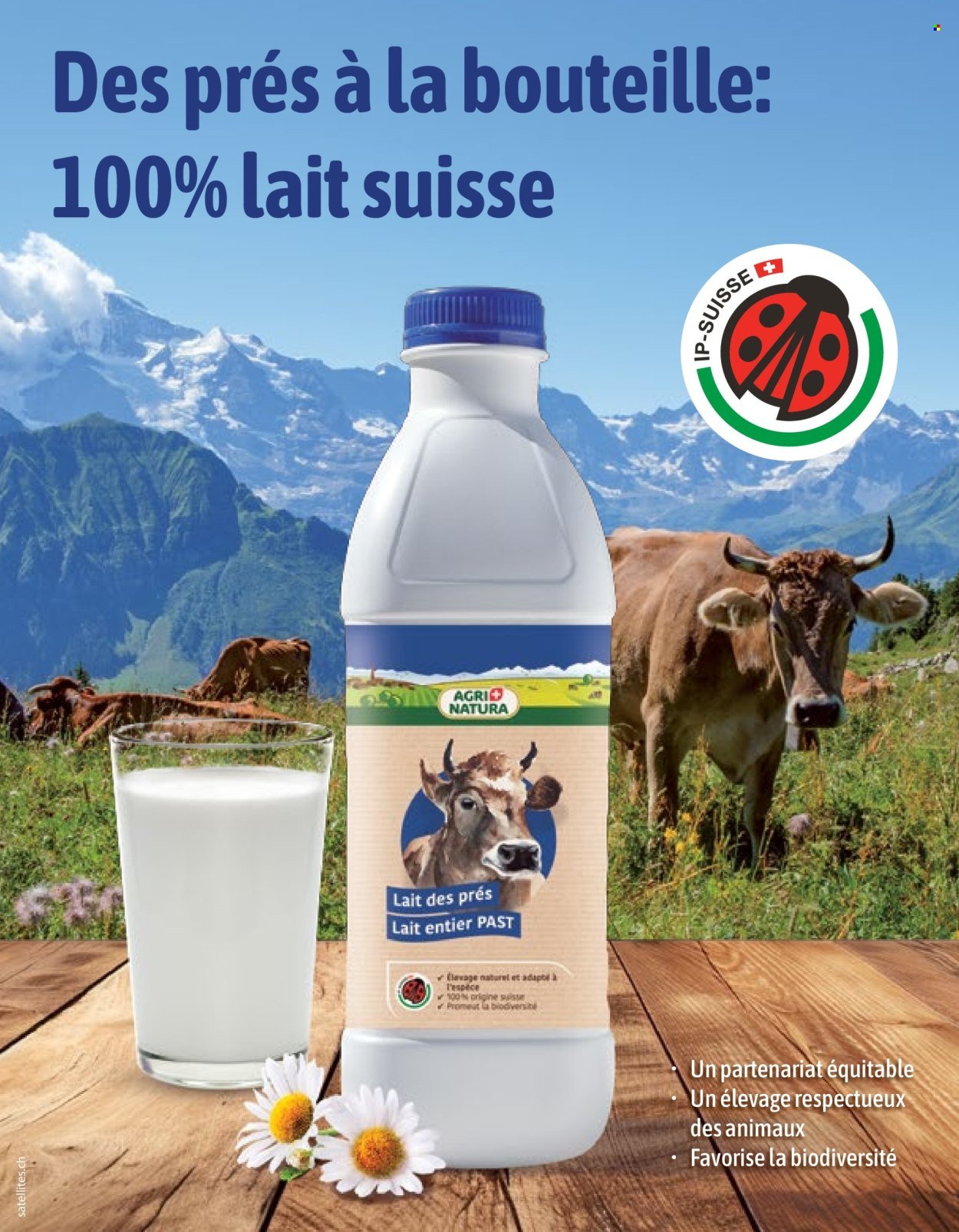 VOLG Prospekt - Vom 1.4.2026 (2026-04-01 - 2026-04-30)