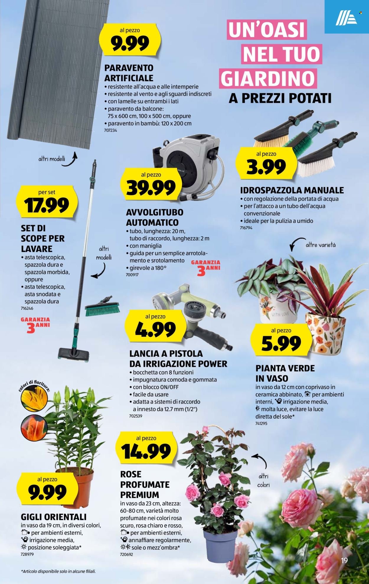 ALDI Prospekt - Vom 4.6.2026