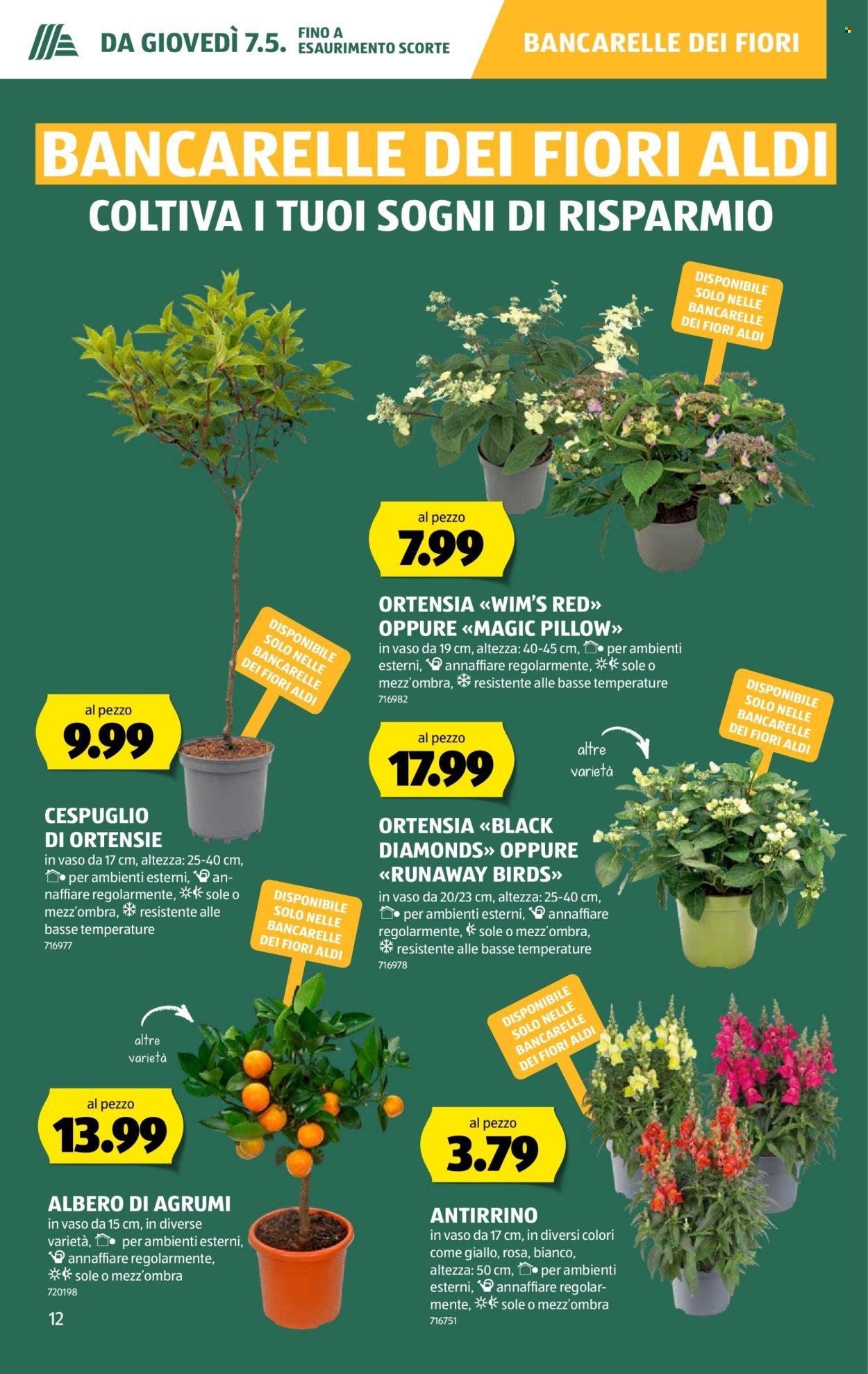 ALDI Prospekt - Vom 7.5.2026 (2026-05-07 - 2026-05-13)