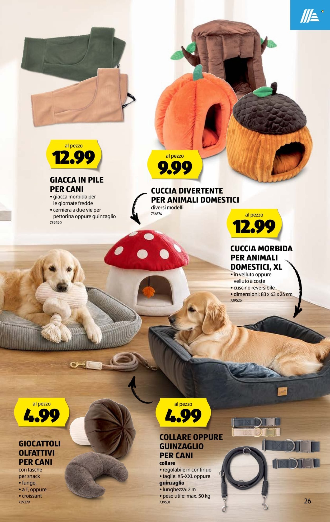 ALDI Prospekt - Vom 17.9.2026