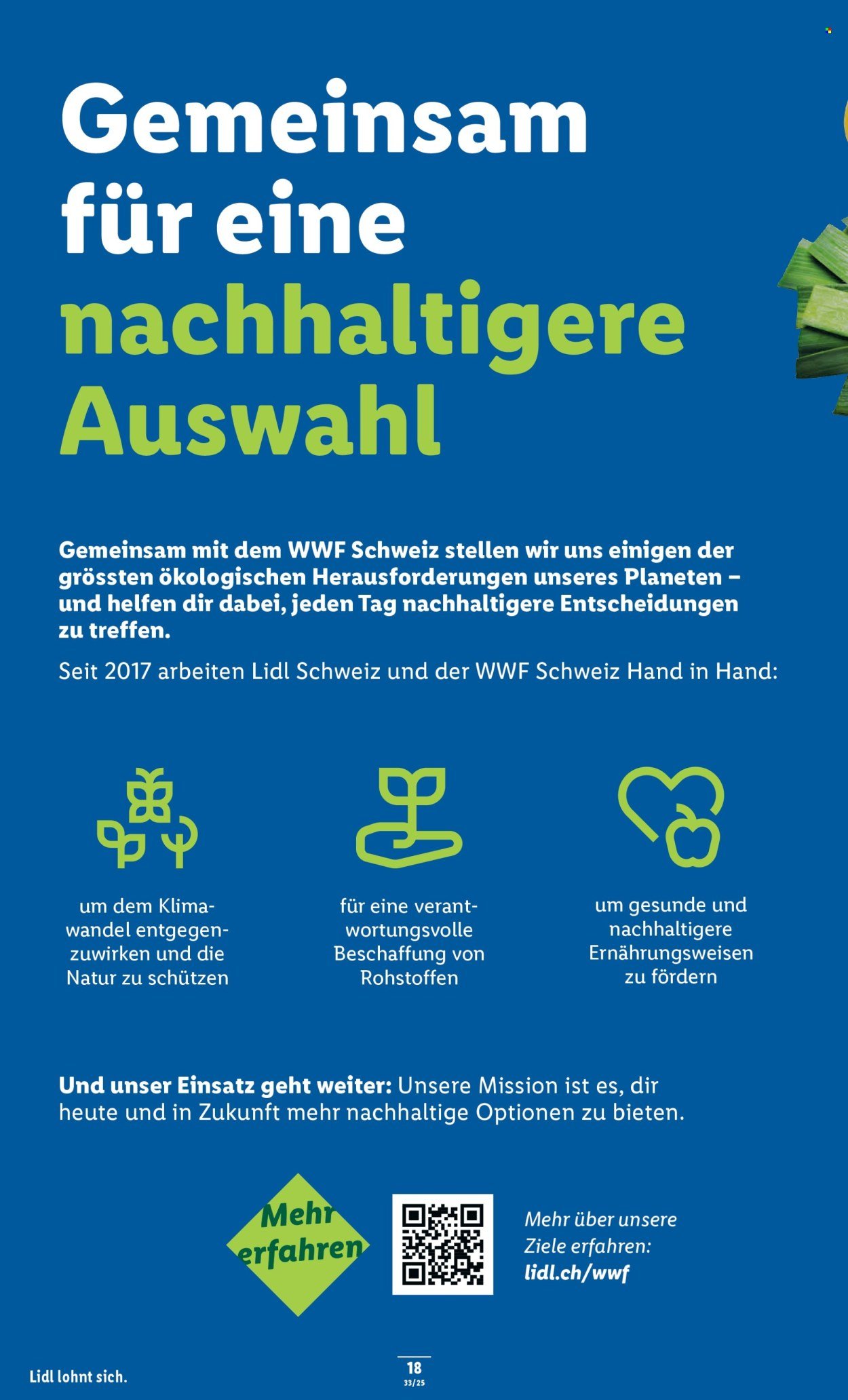 LIDL Prospekt - KW 33 (2025-08-14 - 2025-08-20)