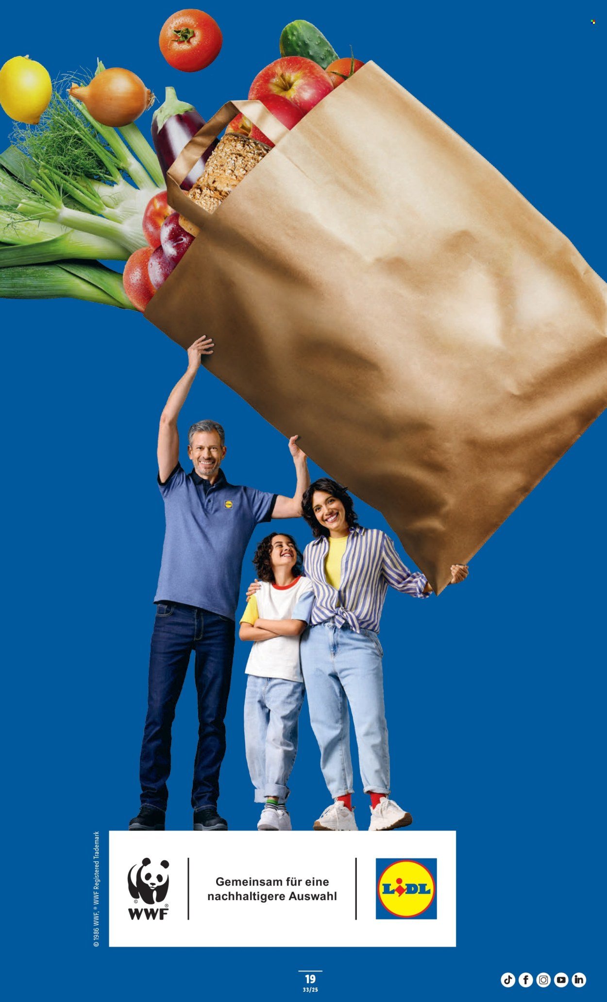 LIDL Prospekt - KW 33 (2025-08-14 - 2025-08-20)