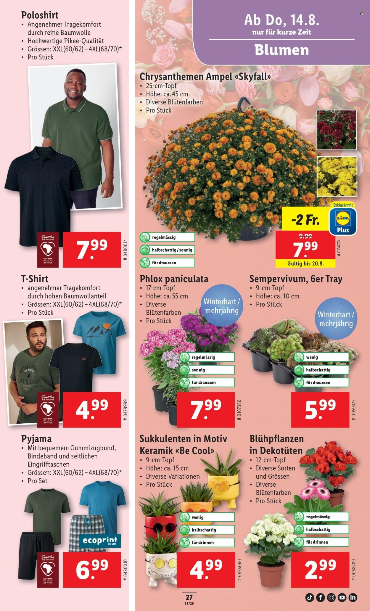 LIDL Prospekt - KW 33 (2025-08-14 - 2025-08-20)