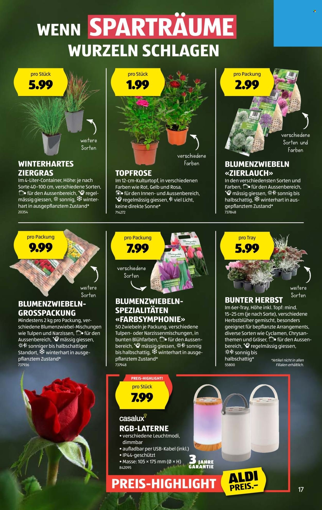 ALDI Prospekt - Vom 28.8.2025 (2025-08-28 - 2025-09-03)