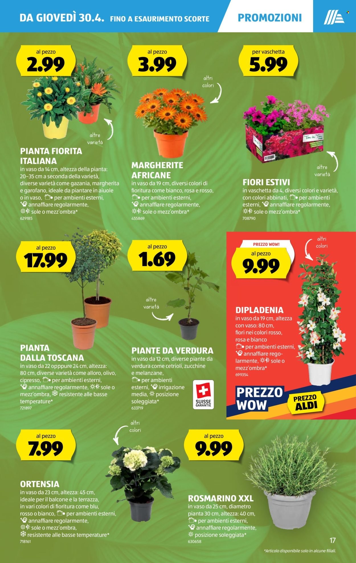 ALDI Prospekt - Vom 30.4.2026 (2026-04-30 - 2026-05-06) | 17