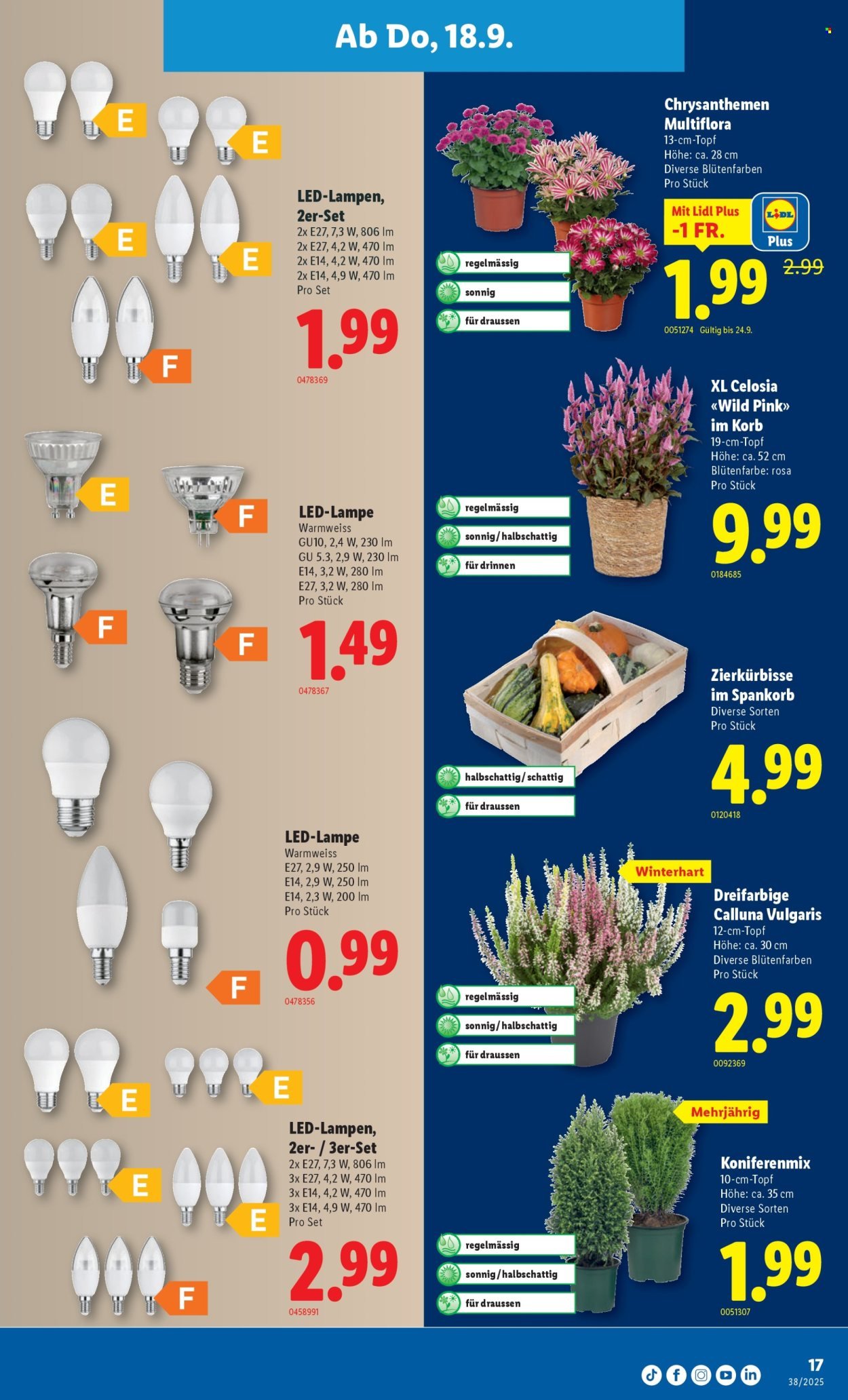 LIDL Prospekt - KW 38 (2025-09-18 - 2025-09-24)