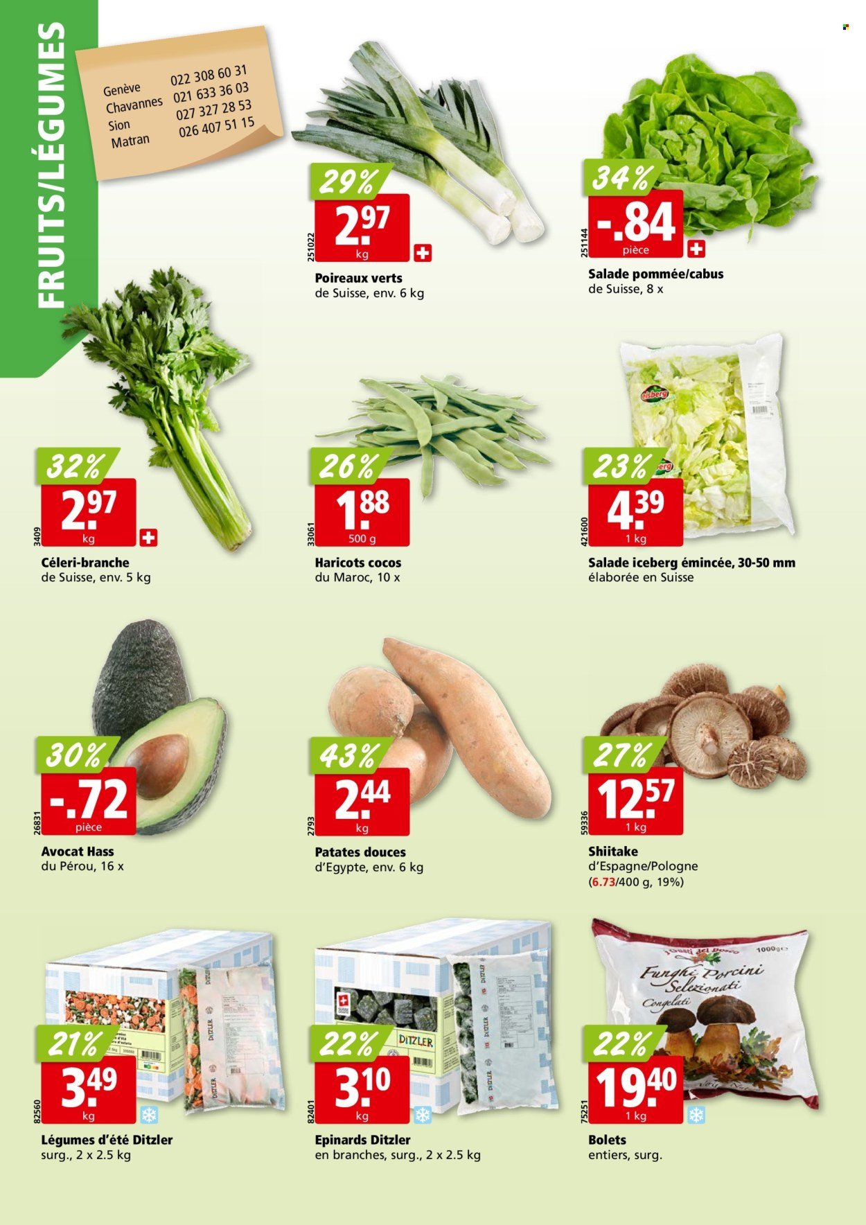ALIGRO Prospekt - KW 33 (2025-08-11 - 2025-08-16)