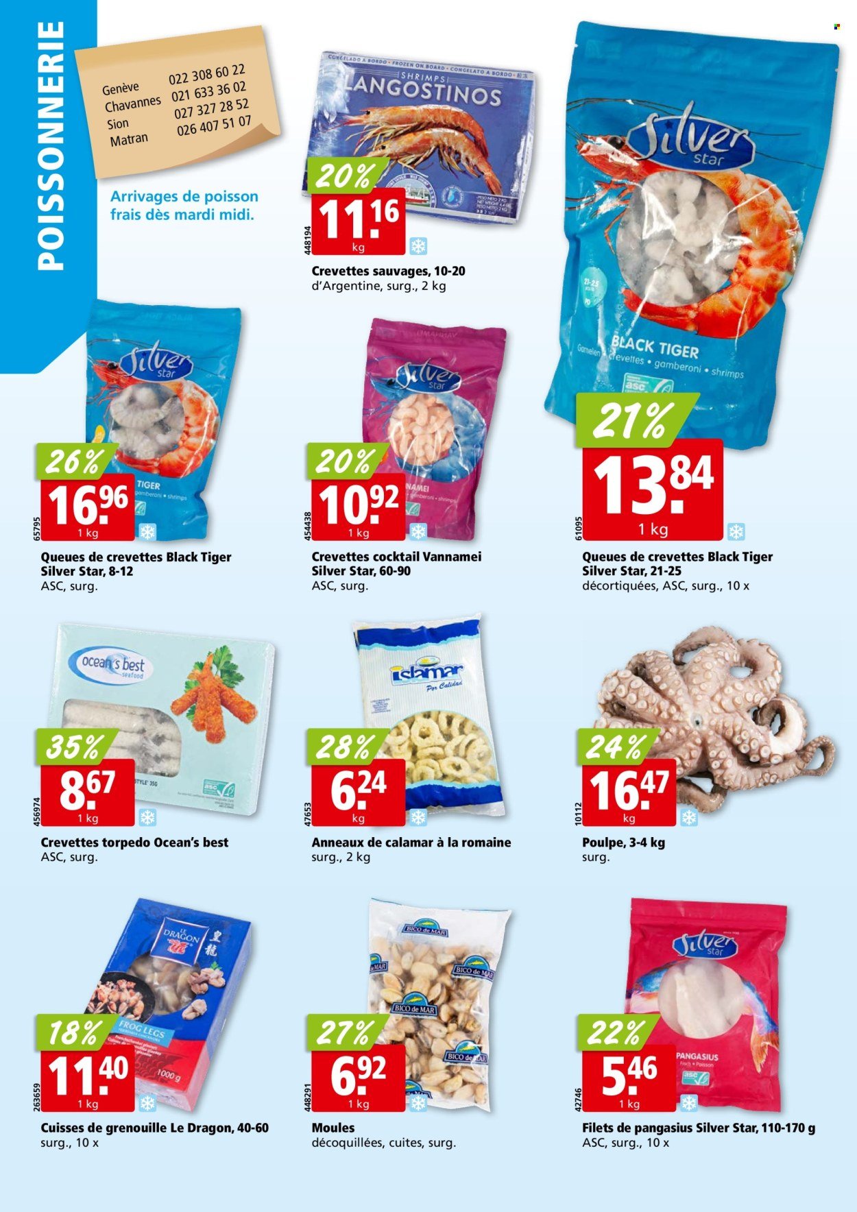 ALIGRO Prospekt - KW 33 (2025-08-11 - 2025-08-16)