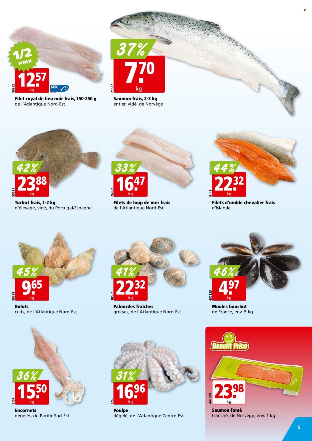 ALIGRO Prospekt - KW 33 (2025-08-11 - 2025-08-16)