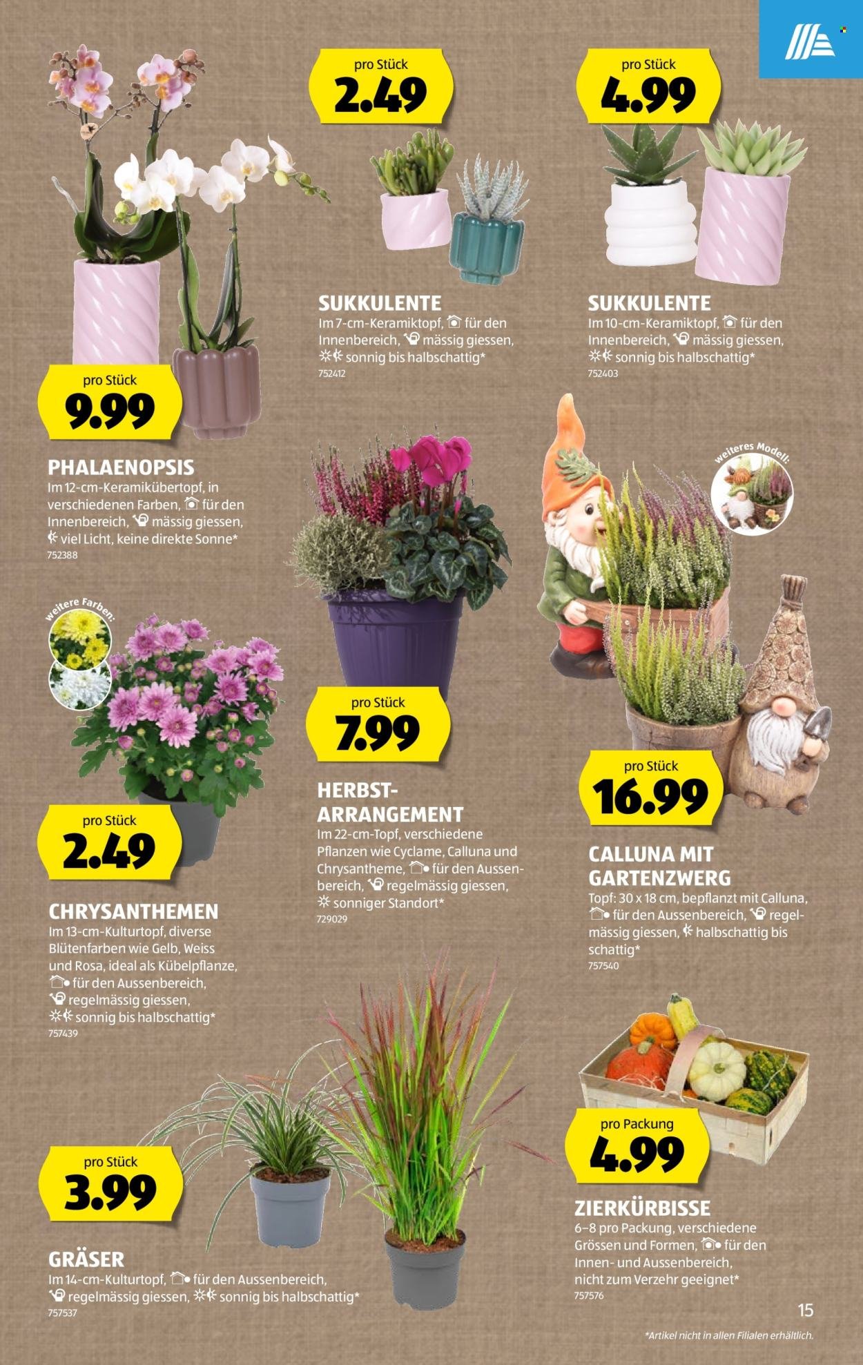 ALDI Prospekt - Vom 8.10.2026