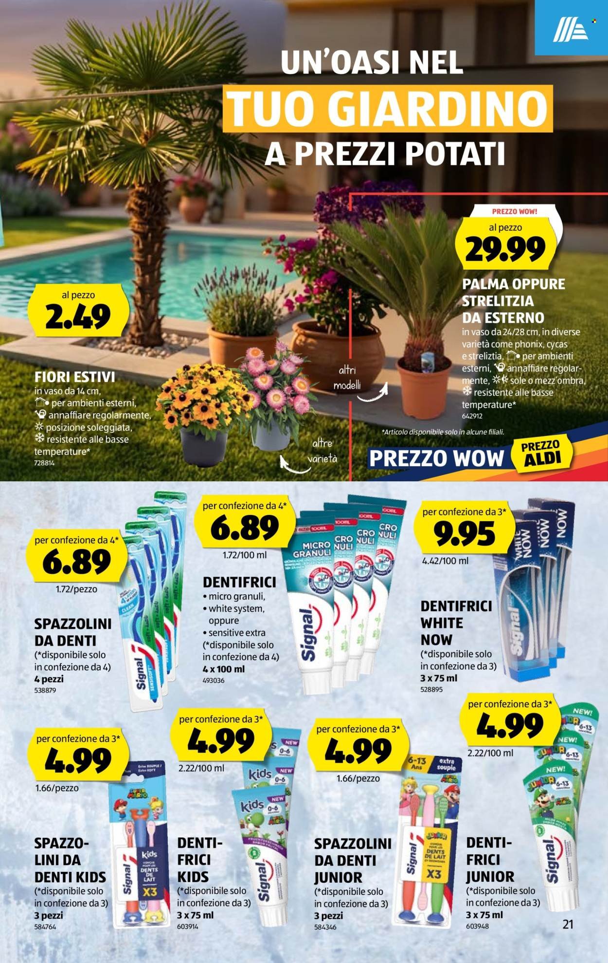 ALDI Prospekt - Vom 25.6.2026