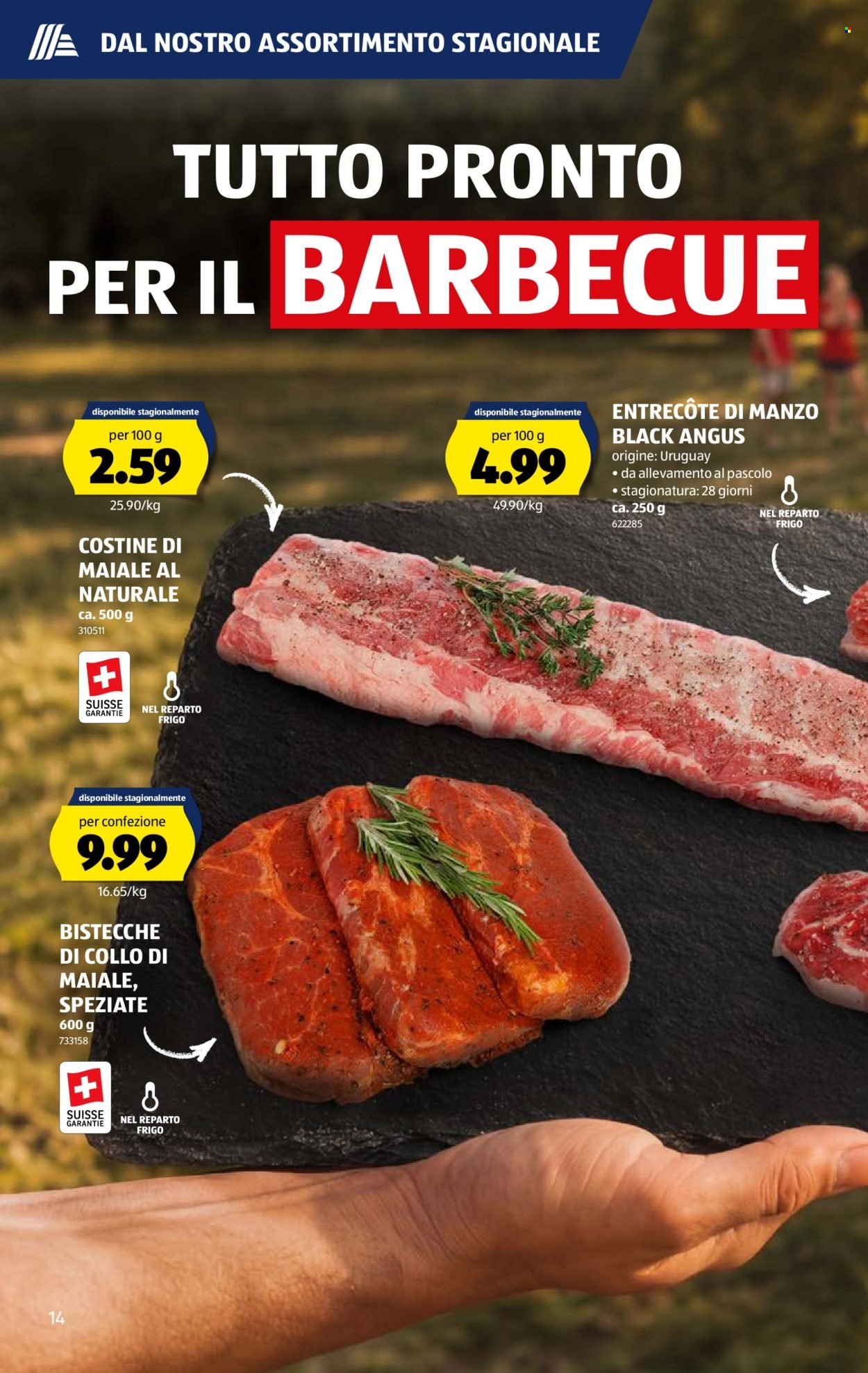 ALDI Prospekt - Vom 11.6.2026