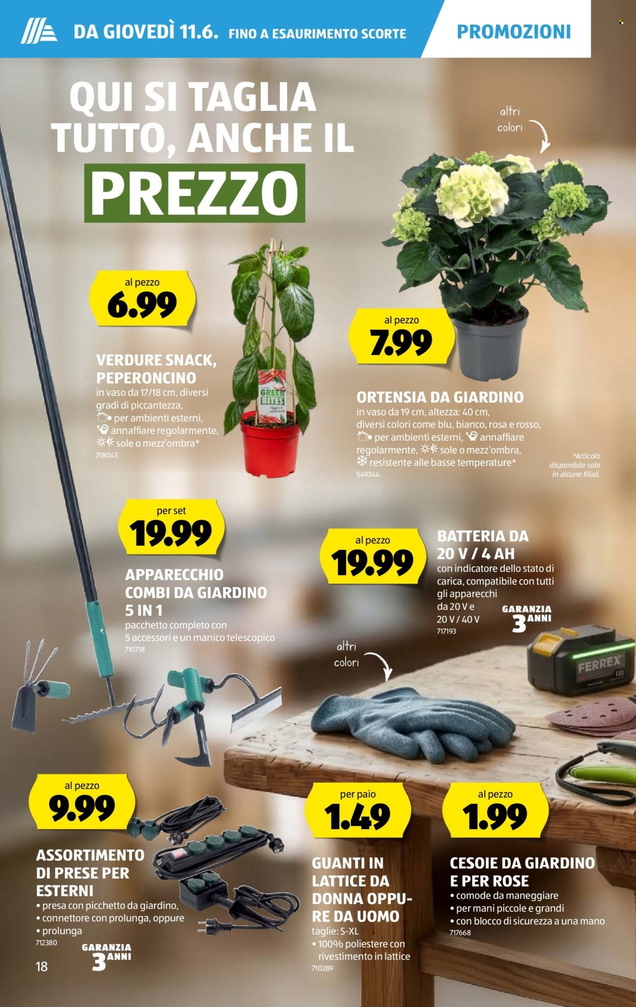 ALDI Prospekt - Vom 11.6.2026