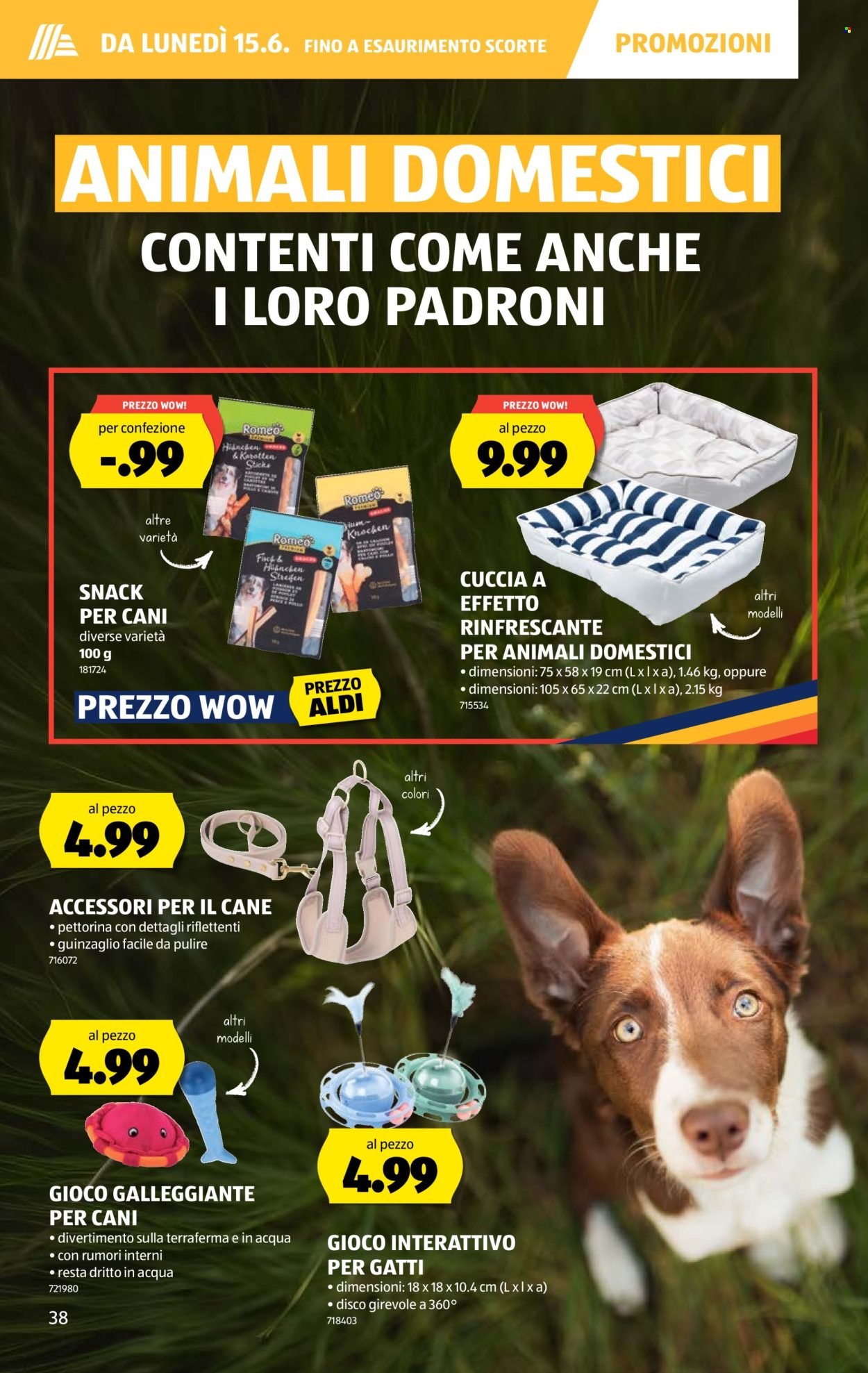ALDI Prospekt - Vom 11.6.2026