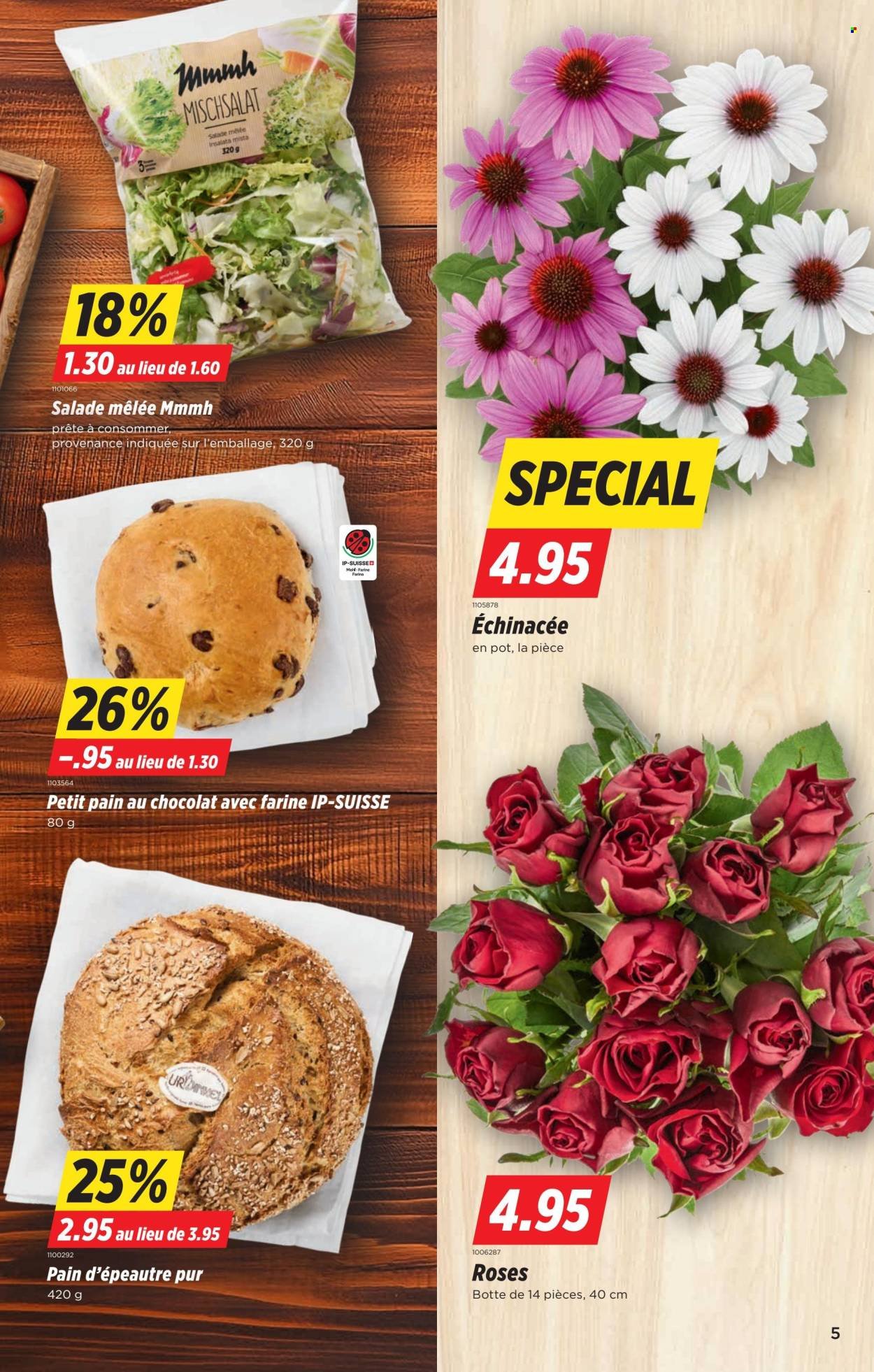 DENNER Prospekt - S34