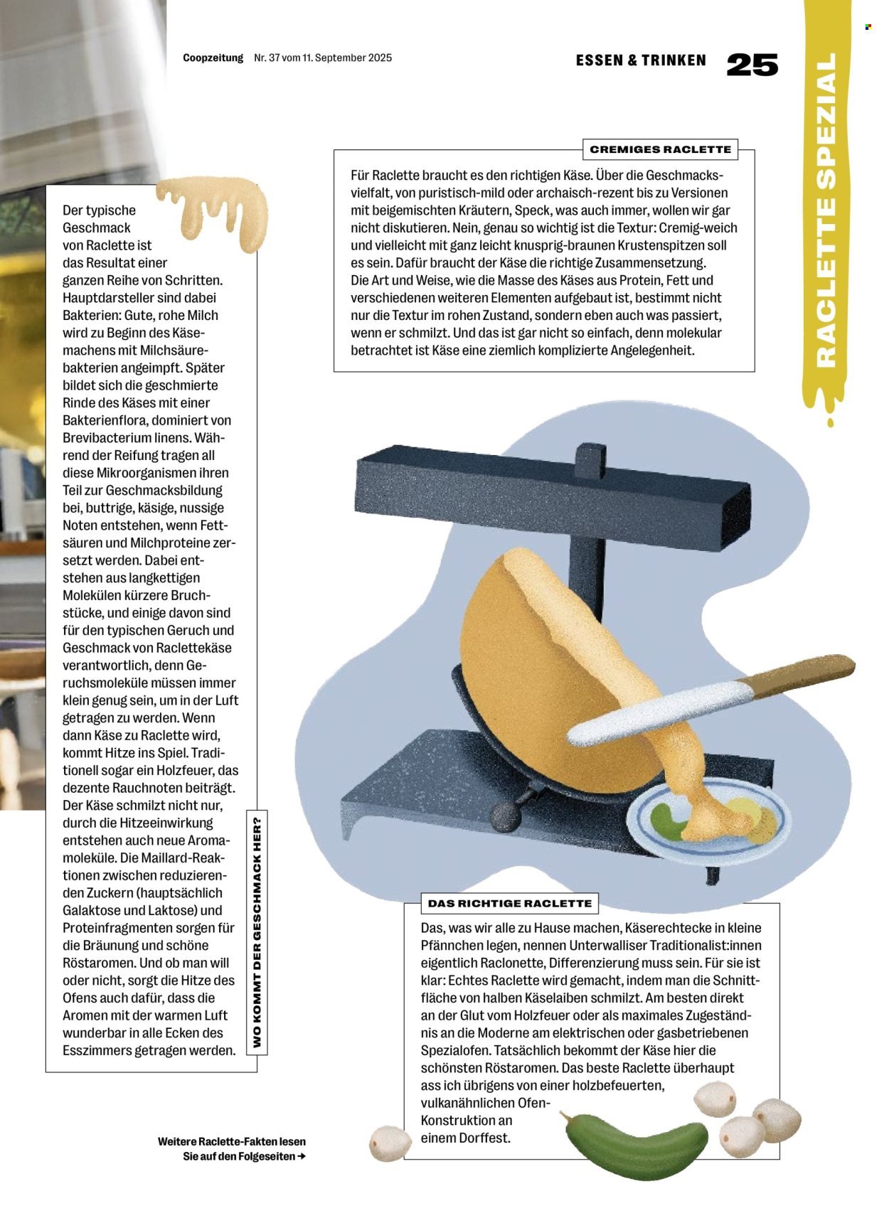 COOP Prospekt - COOPZEITUNG (2025-09-11 - 2025-09-17)