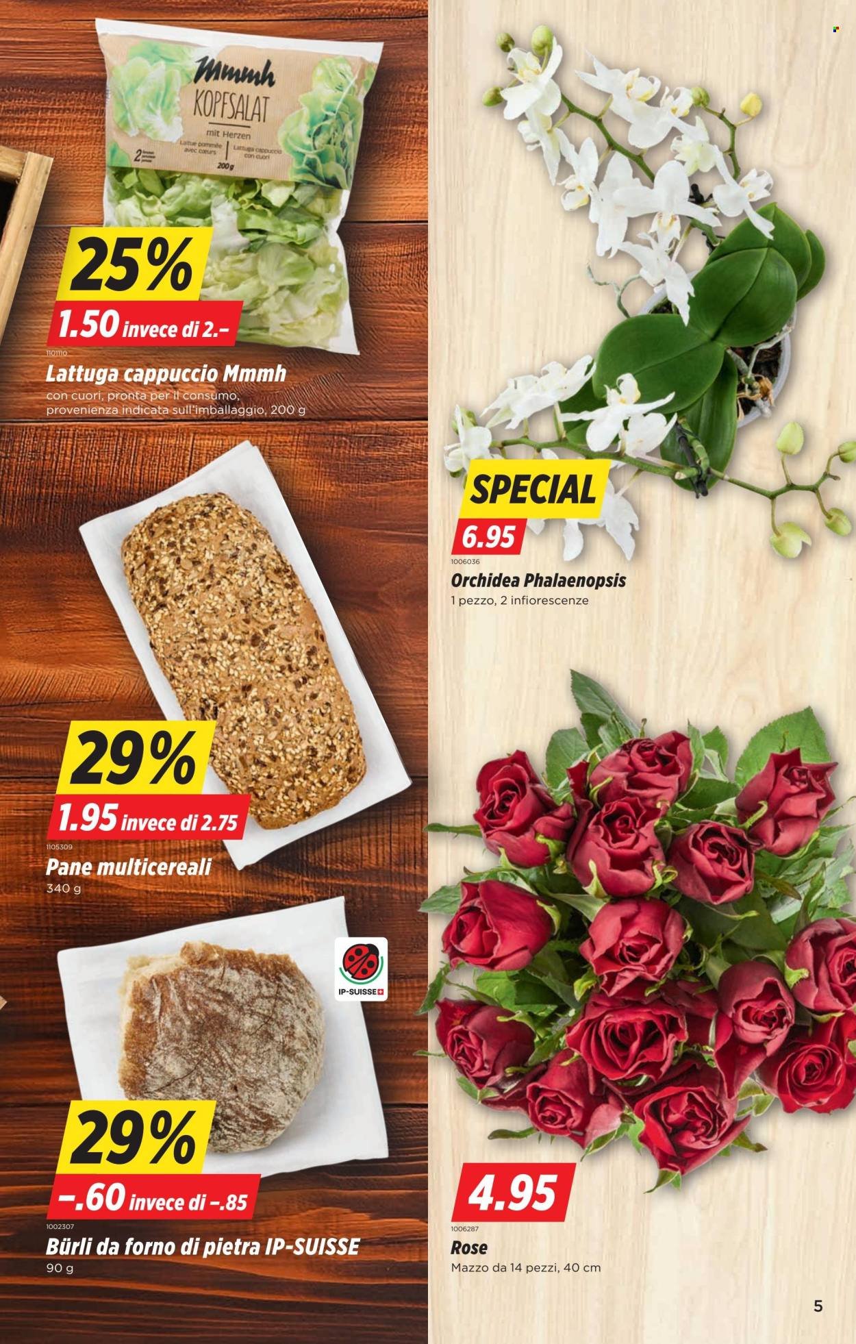 DENNER Prospekt - SETT35
