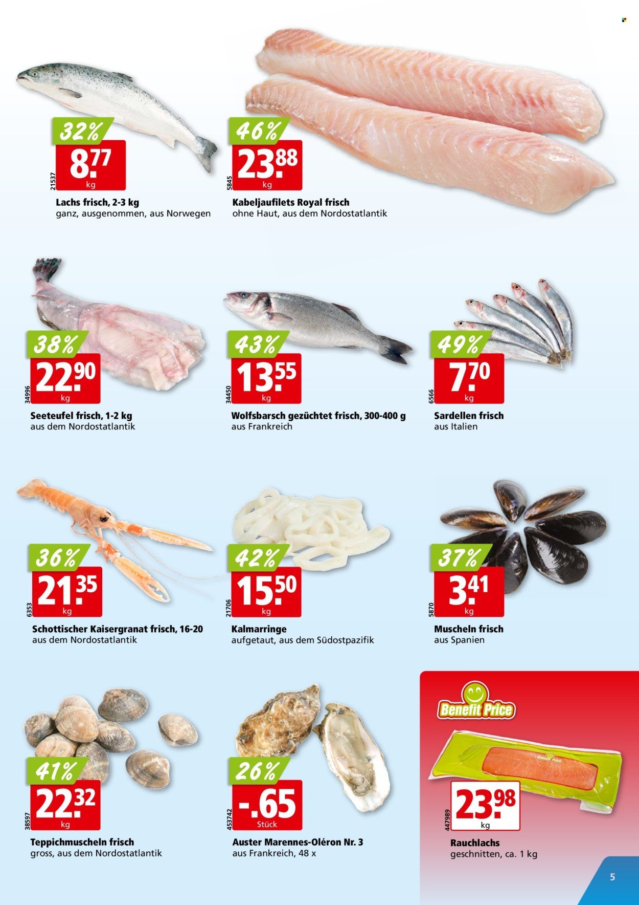 ALIGRO Prospekt - KW 37 (2025-09-08 - 2025-09-13)