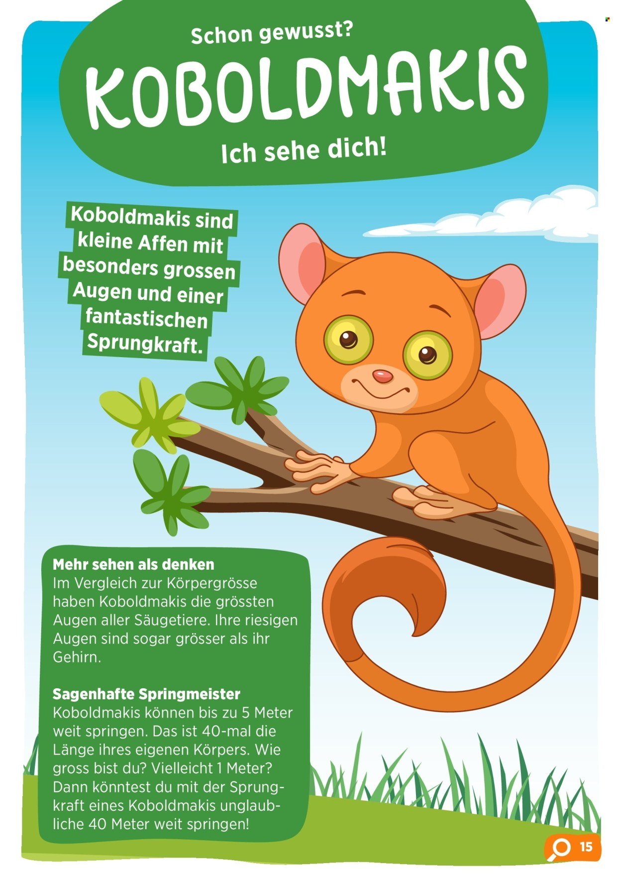 VOLG Prospekt - November 2025 (2025-11-03)