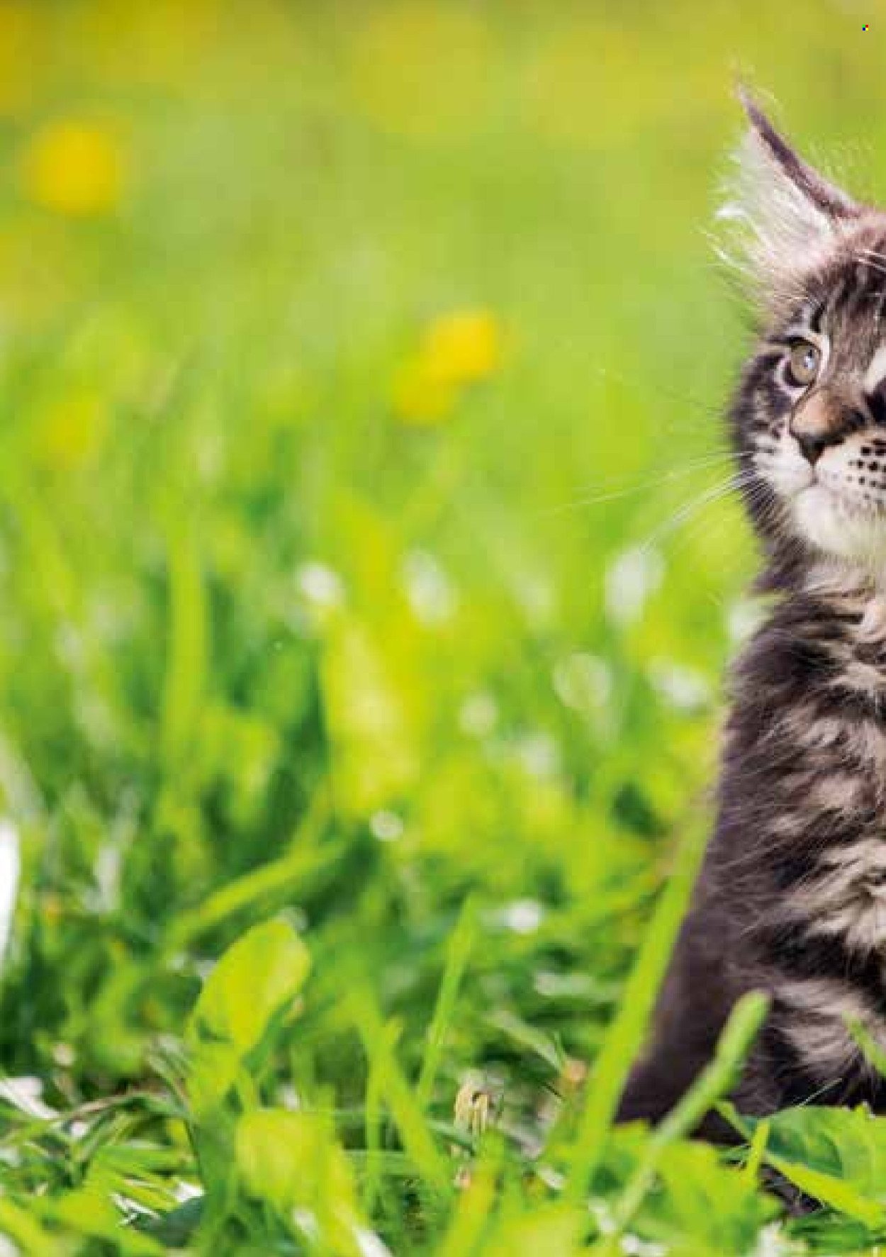 VOLG Prospekt - November 2025 (2025-11-03)