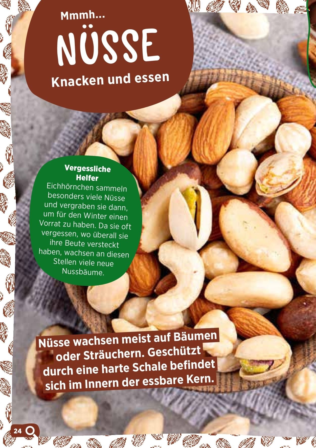 VOLG Prospekt - November 2025 (2025-11-03)