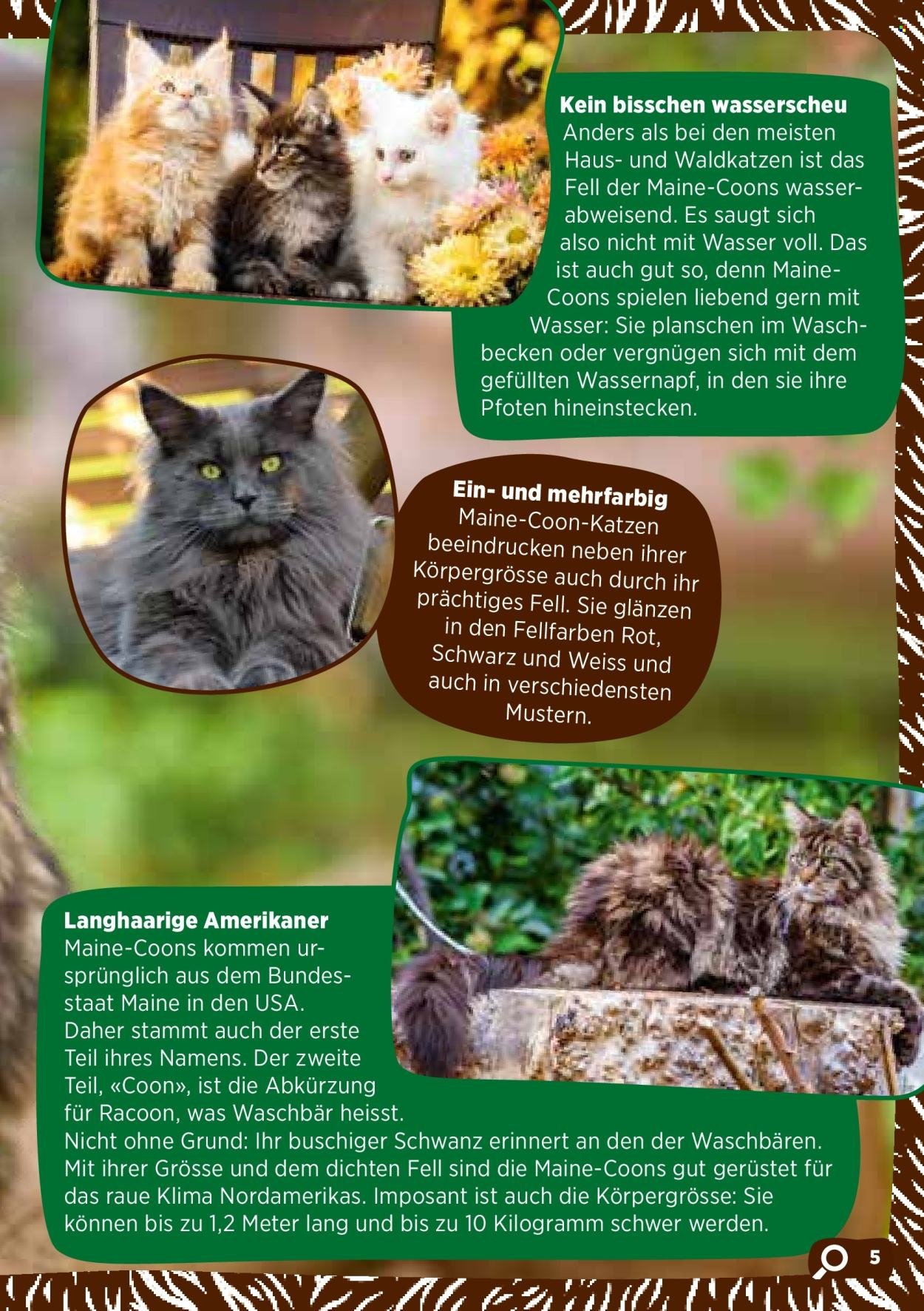 VOLG Prospekt - November 2025 (2025-11-03)