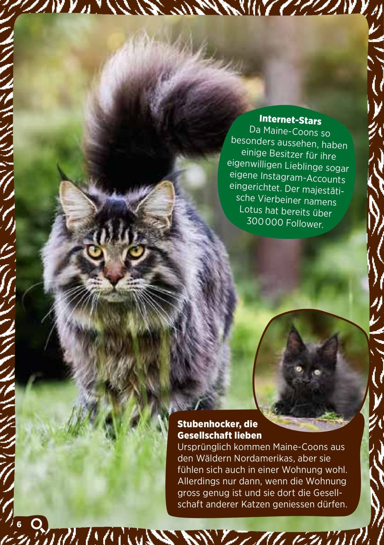 VOLG Prospekt - November 2025 (2025-11-03)