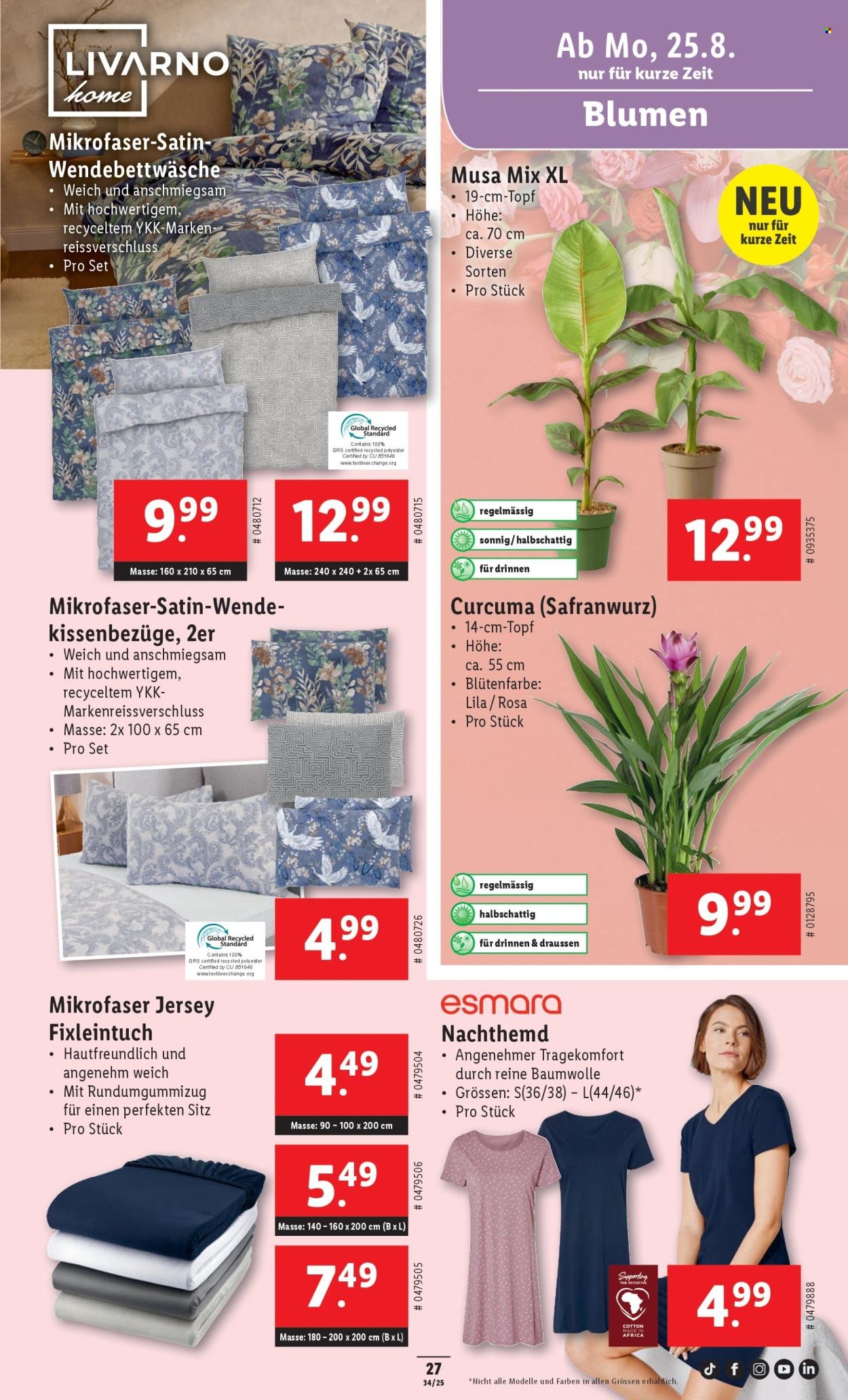 LIDL Prospekt - KW 34 (2025-08-21 - 2025-08-27)