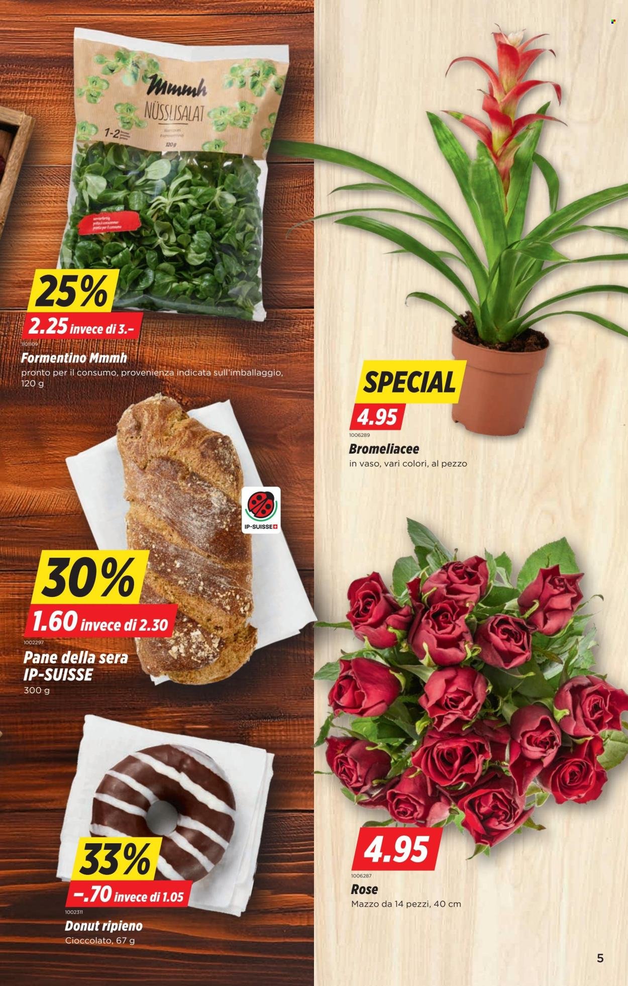 DENNER Prospekt - SETT37