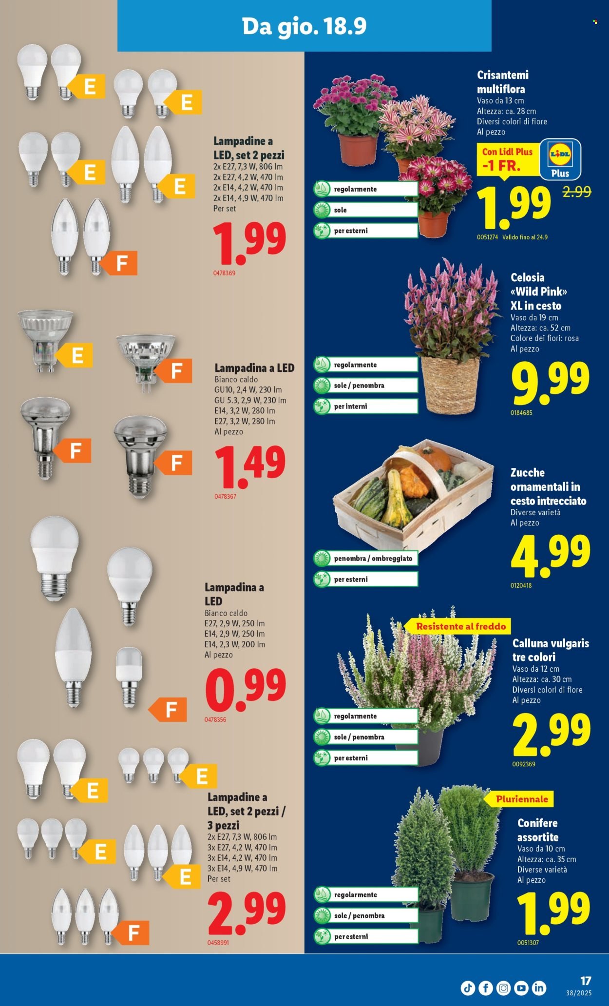 LIDL Prospekt - KW 38 (2025-09-18 - 2025-09-24)