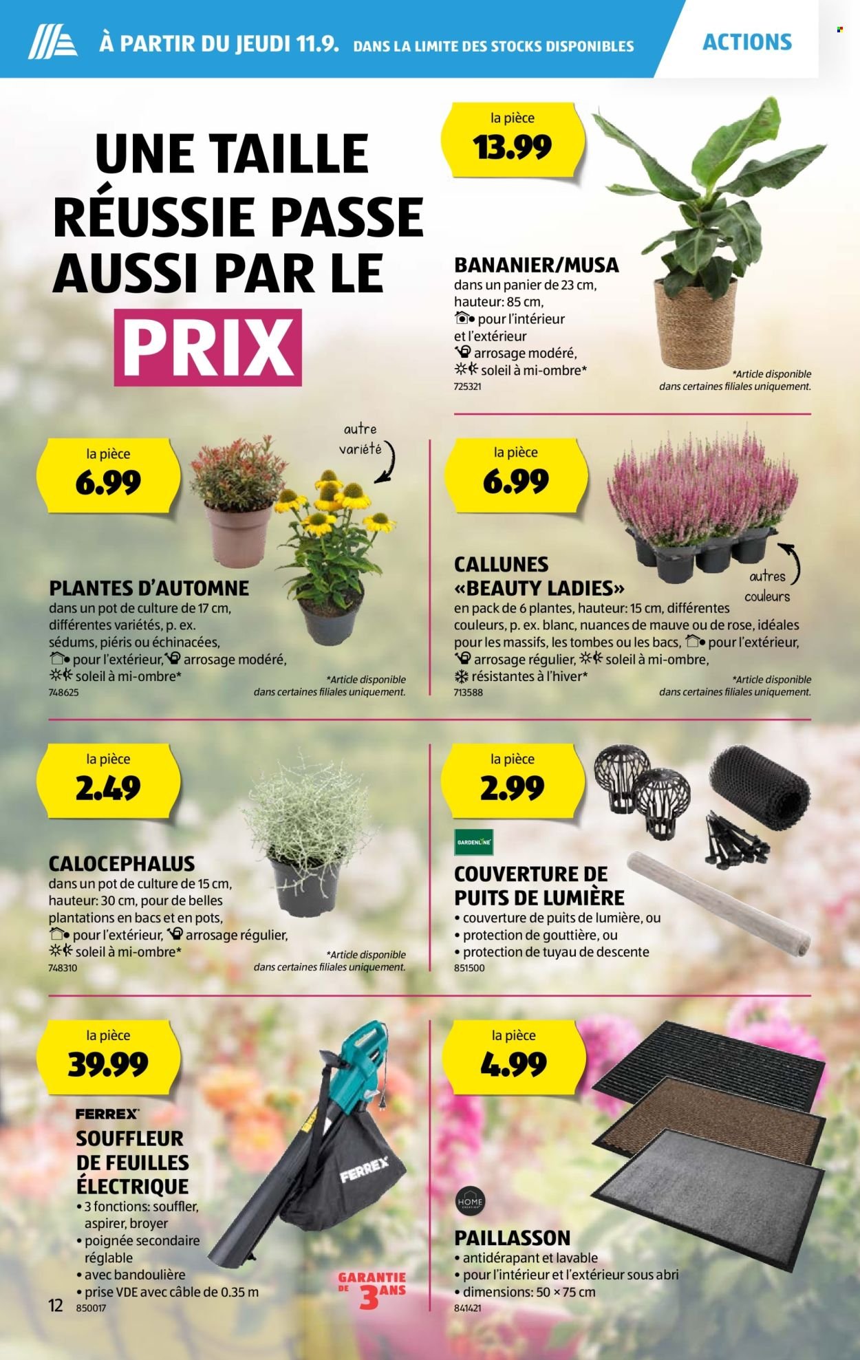 ALDI Prospekt - Vom 11.9.2025 (2025-09-11 - 2025-09-17)