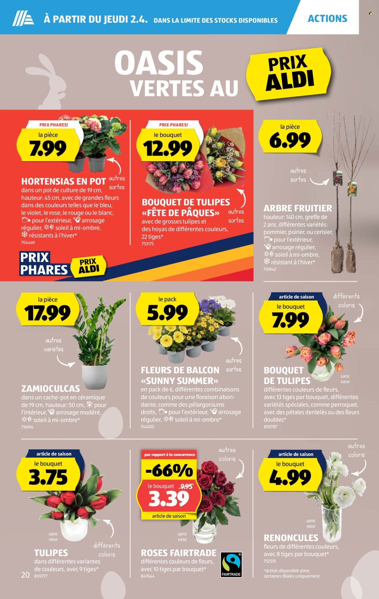 ALDI Prospekt - Vom 2.4.2026 (2026-04-02 - 2026-04-08)
