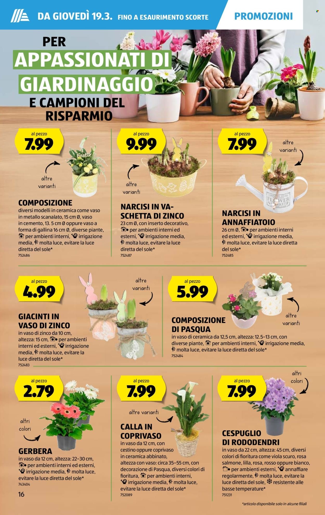 ALDI Prospekt - Vom 19.3.2026 (2026-03-19 - 2026-03-25)