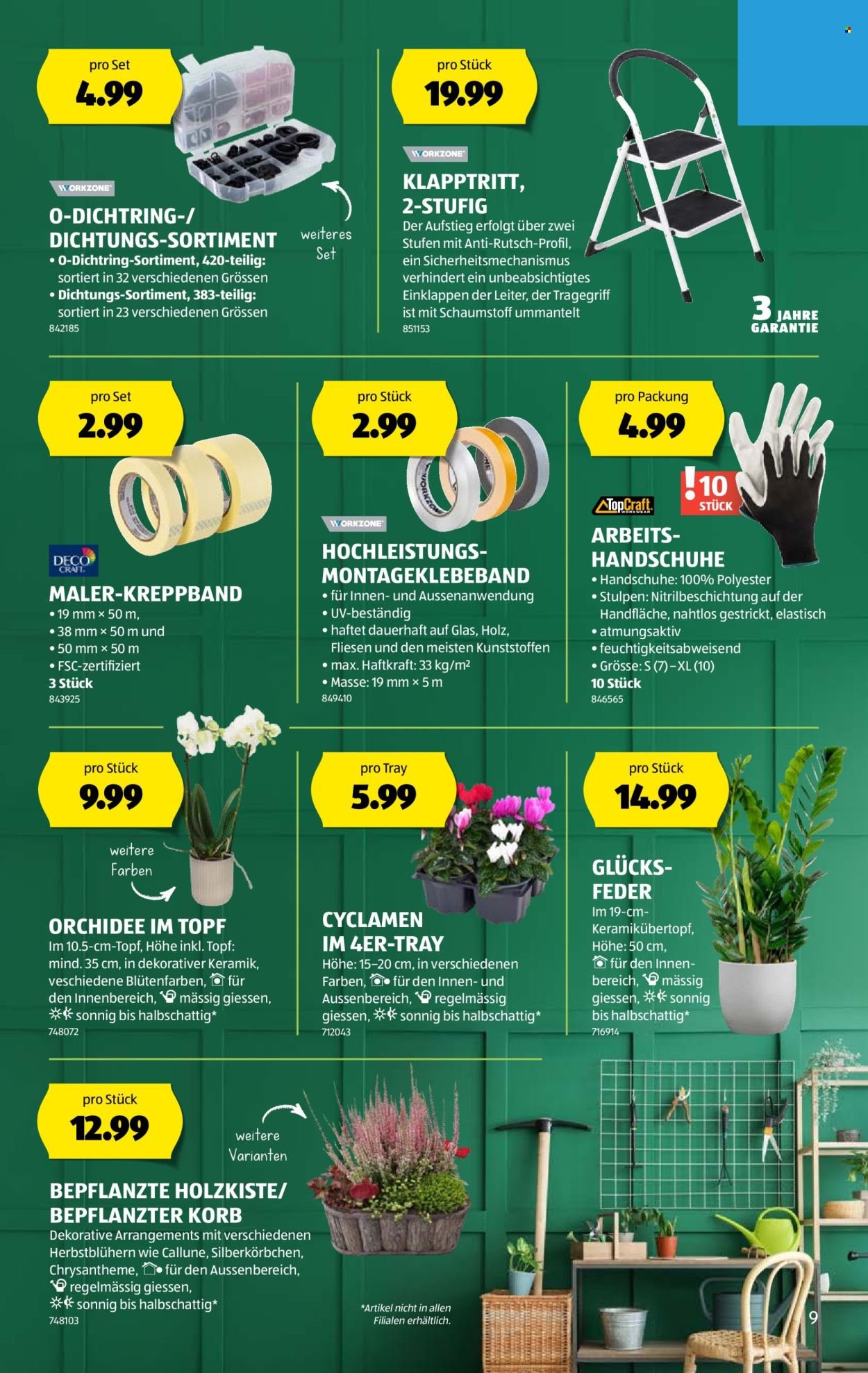 ALDI Prospekt - Vom 25.9.2025 (2025-09-25 - 2025-10-01)