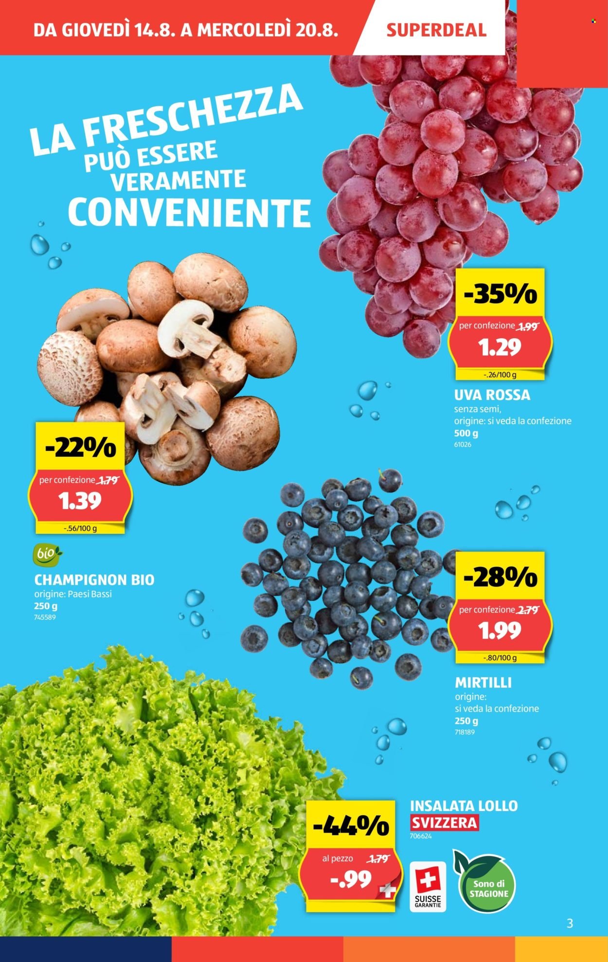 ALDI Prospekt - Vom 14.8.2025 (2025-08-14 - 2025-08-20)