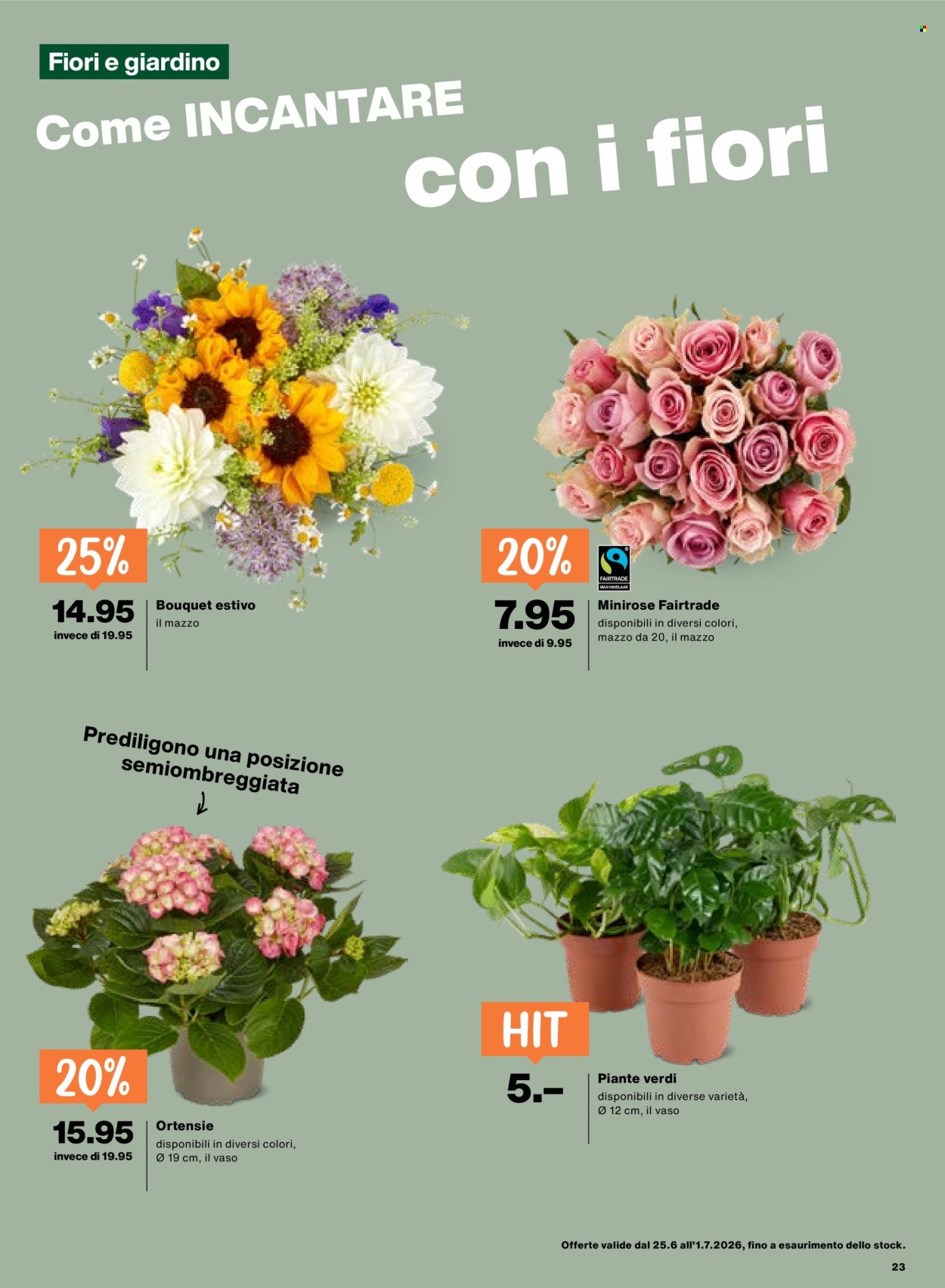 MIGROS Prospekt - Vom 25.6.2026