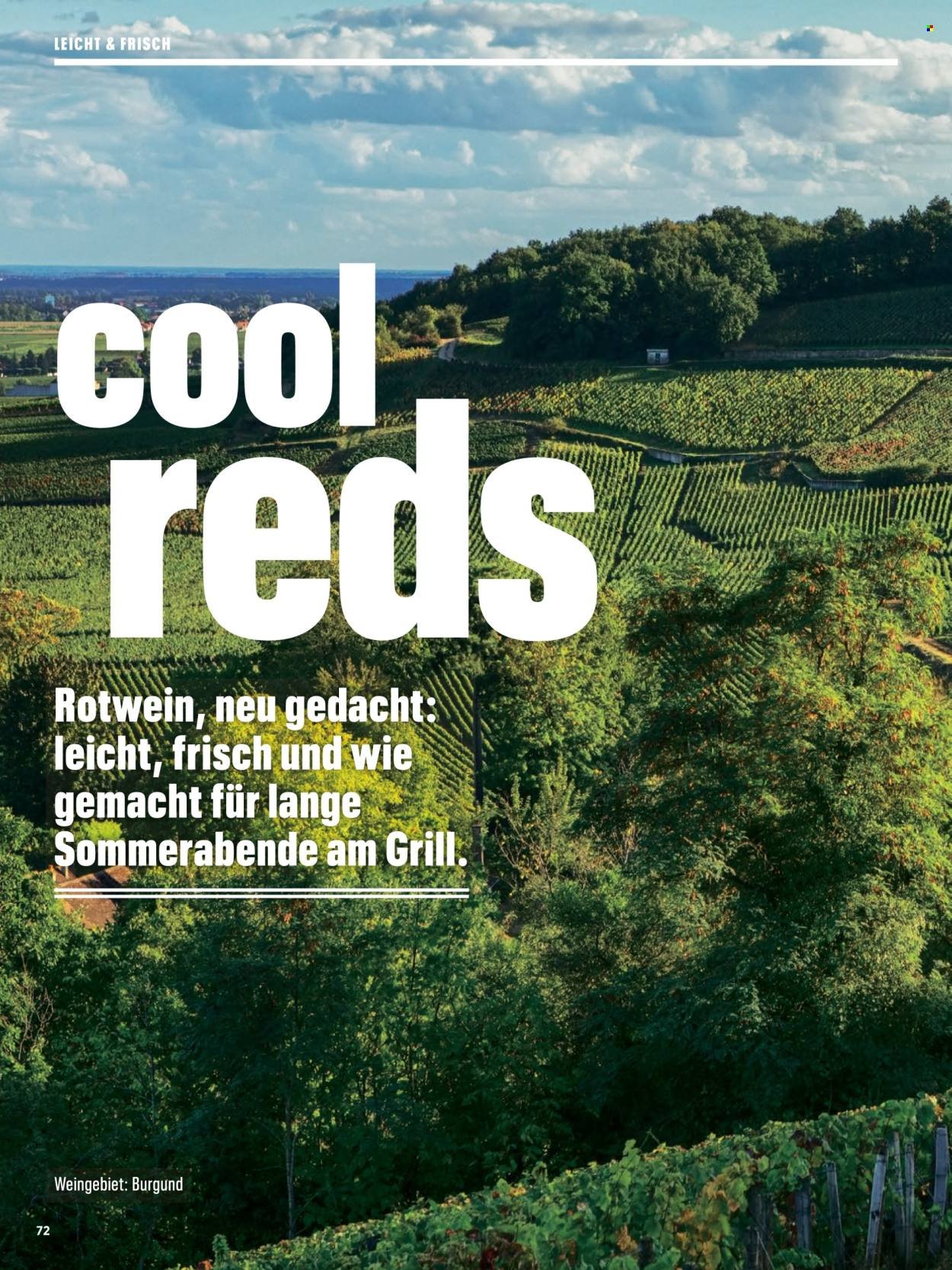 COOP Prospekt - Grill magazin (2026-04-29)