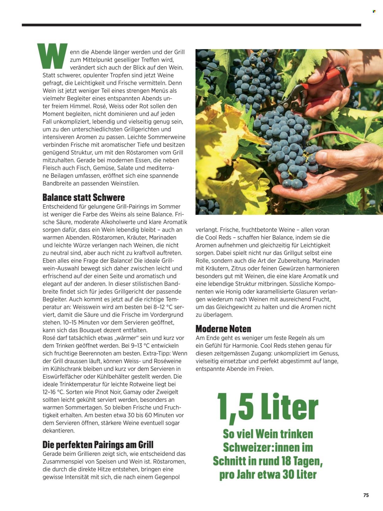 COOP Prospekt - Grill magazin (2026-04-29)