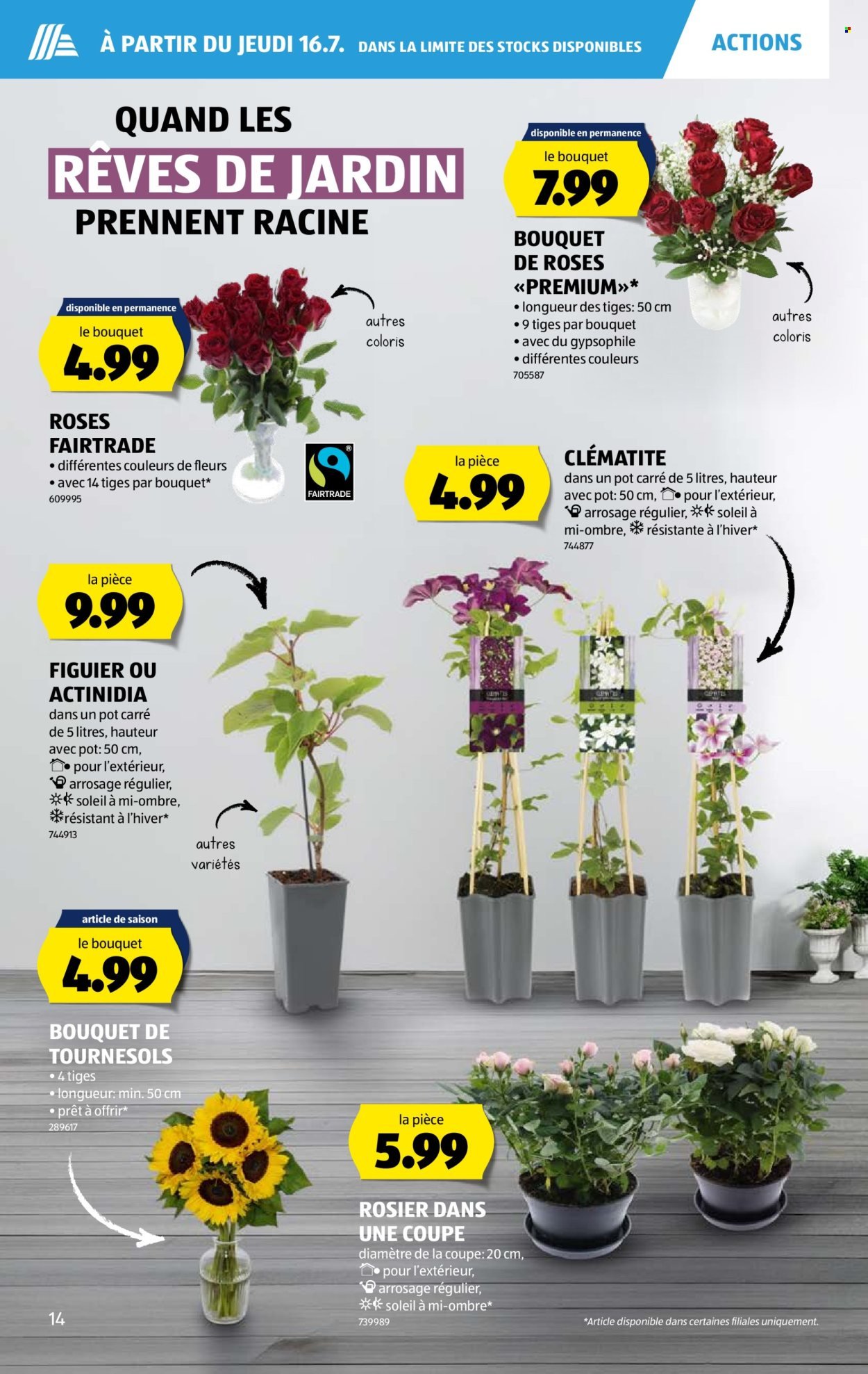 ALDI Prospekt - Vom 16.7.2026