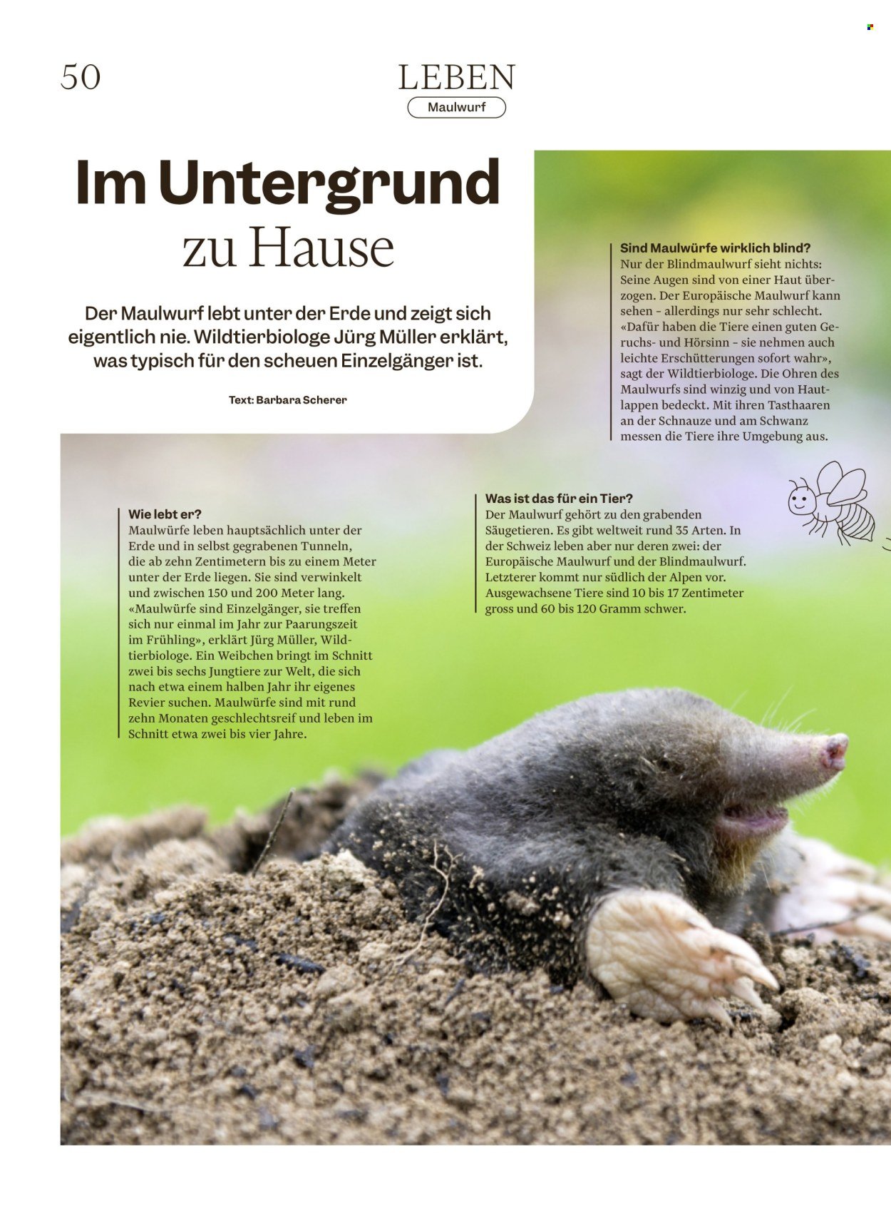 MIGROS Prospekt - Vom 6.8.2025 (2025-08-06 - 2025-08-12)