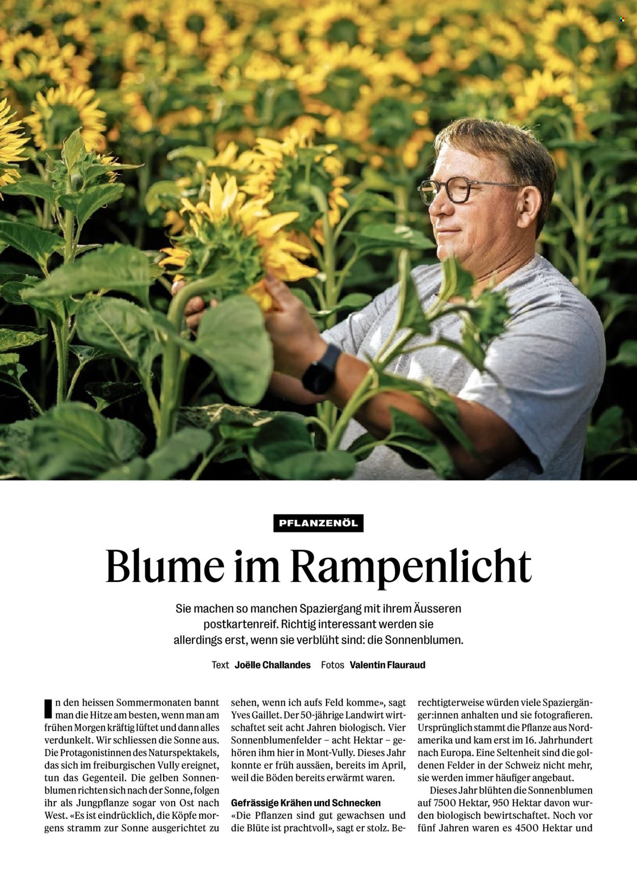 COOP Prospekt - COOPZEITUNG (2025-07-24 - 2025-07-30)