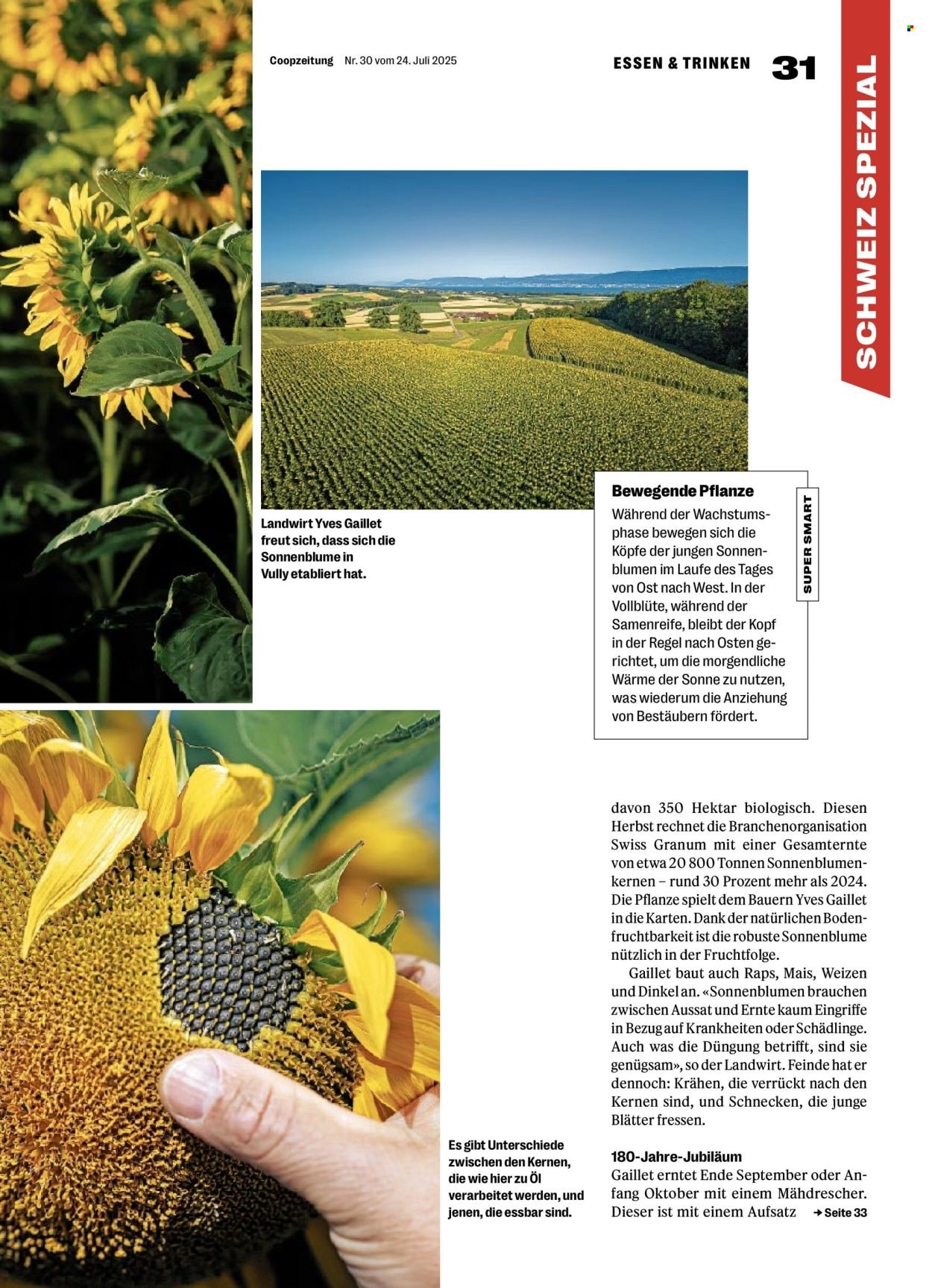 COOP Prospekt - COOPZEITUNG (2025-07-24 - 2025-07-30)