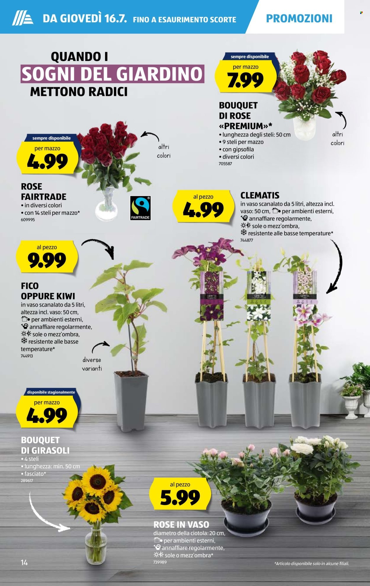 ALDI Prospekt - Vom 16.7.2026
